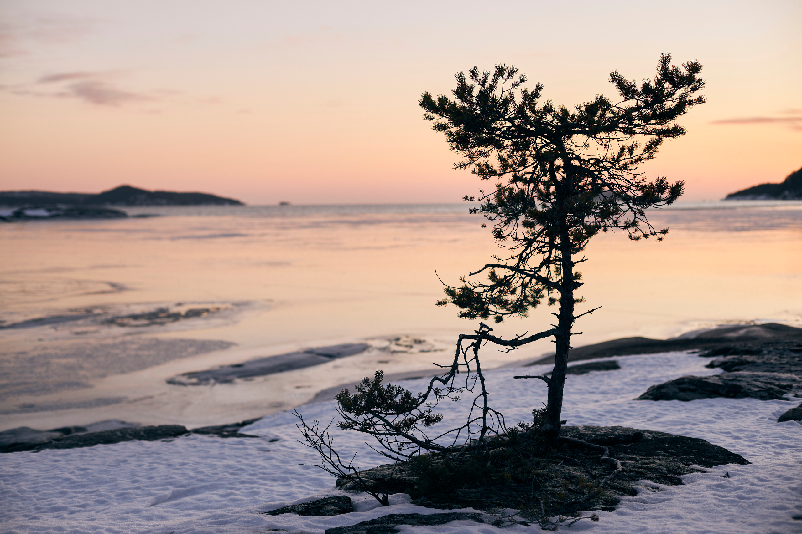 Gorky Park — пресс-конференция группы. Анна Потявина. Фотограф Москва