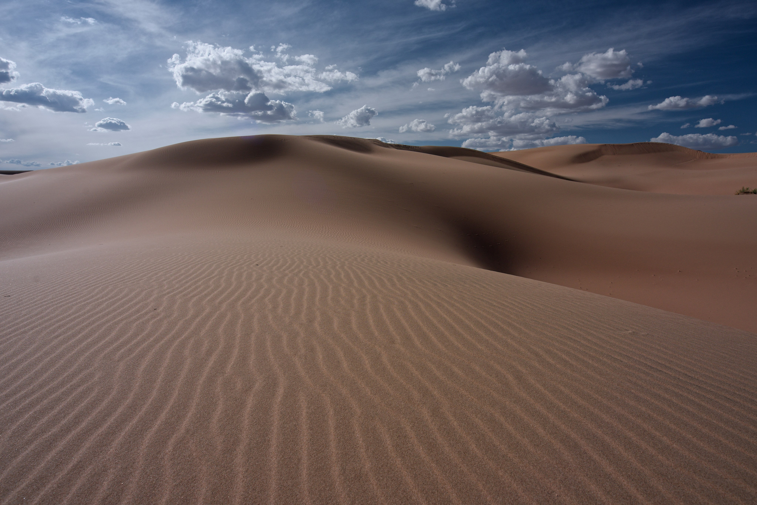 Экспедиция в Монголию (котловина больших озер). Семоха Валерий. Фотограф