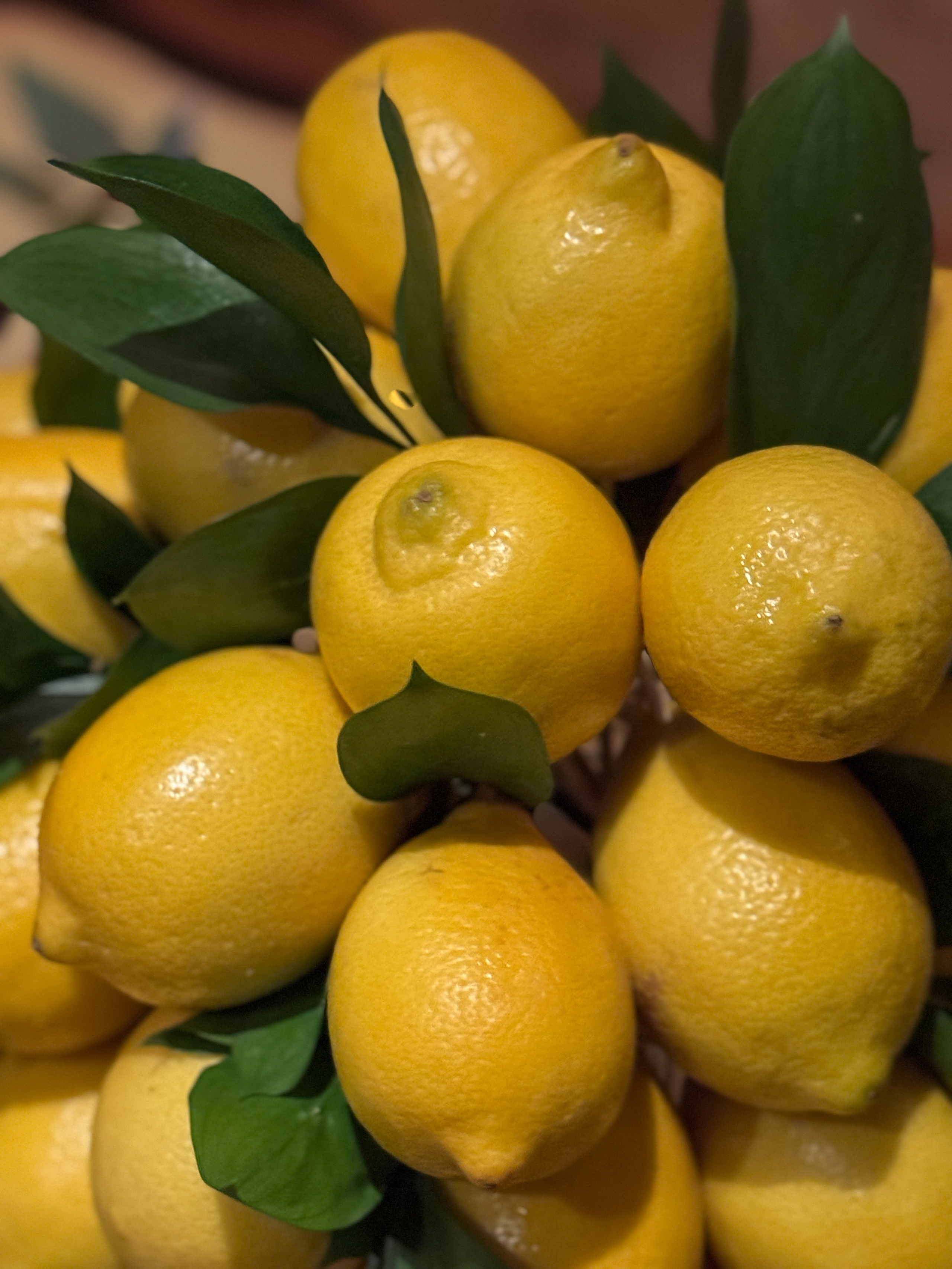 День рождения, ресторан «Пафос». Свадебный и репортажный фотограф (Москва, Королев и другие)