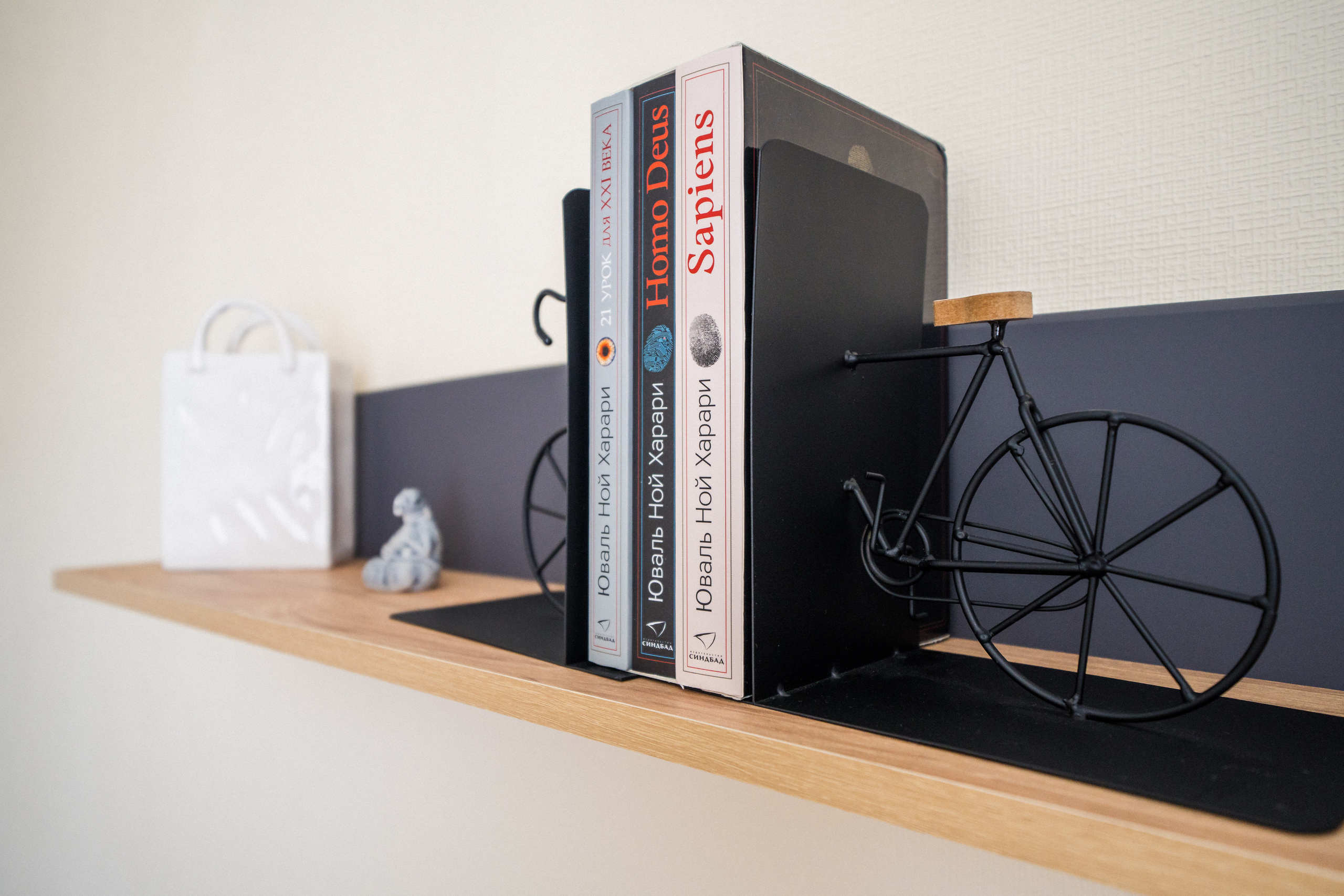 Квартира на Новоколомяжском, 17. Святослав Буньков | фотограф