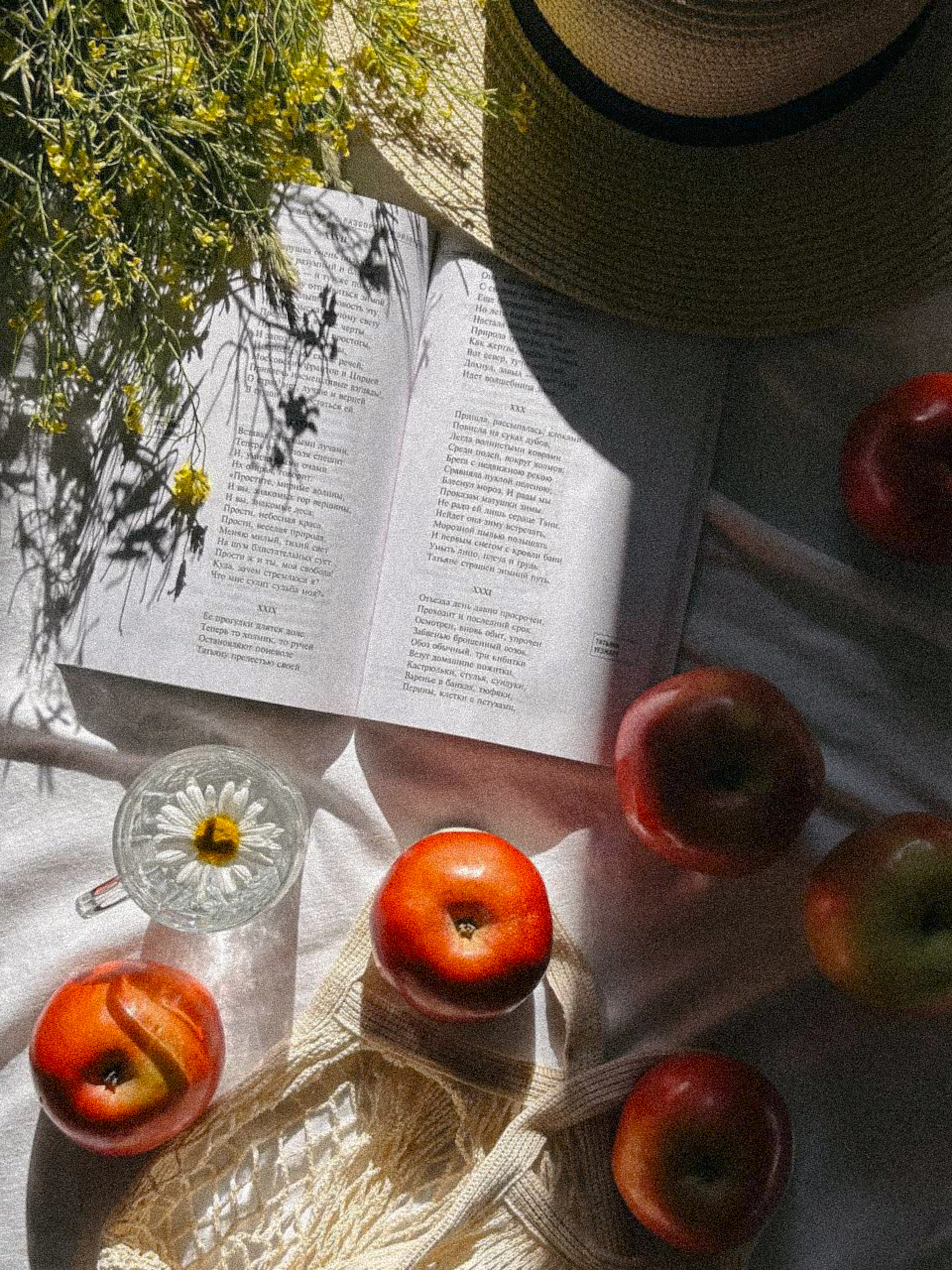 Курс «По предметной съемке и продвижению в Reels». Anushikcreates