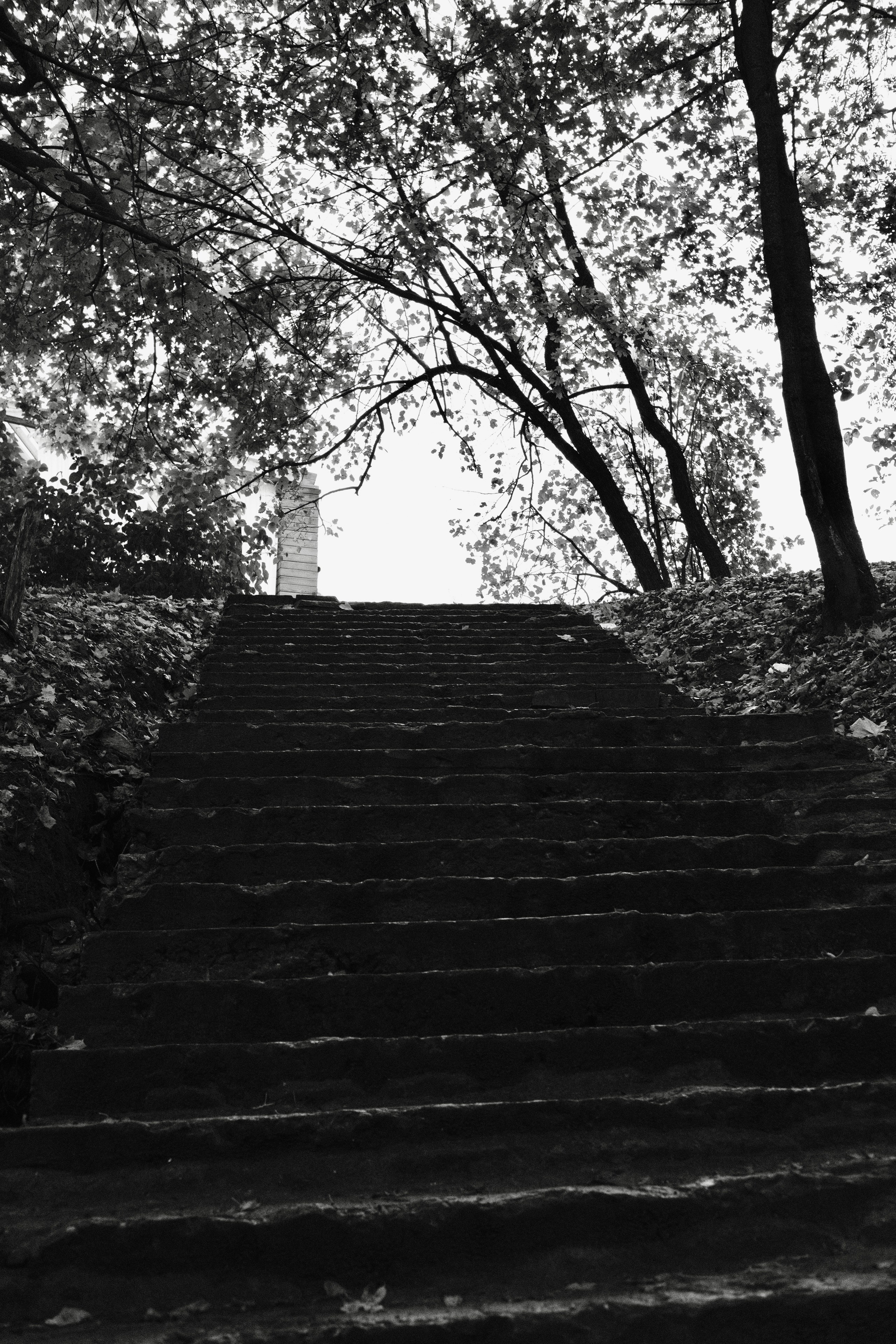 Сергиев Посад. Фотограф Маргана Лоция