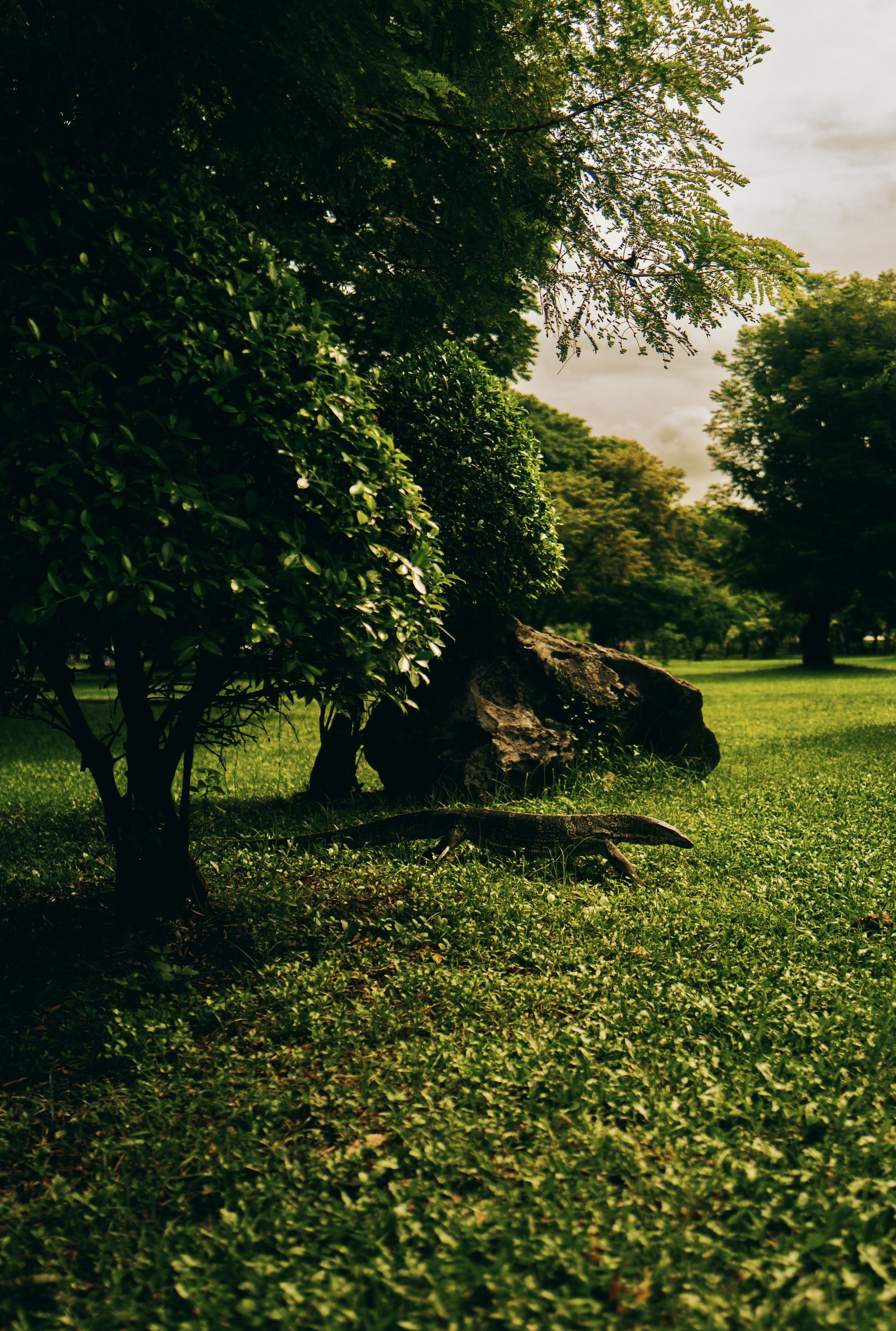 AUTHENTIC FILM. Visual artist Daniil Kontorovich