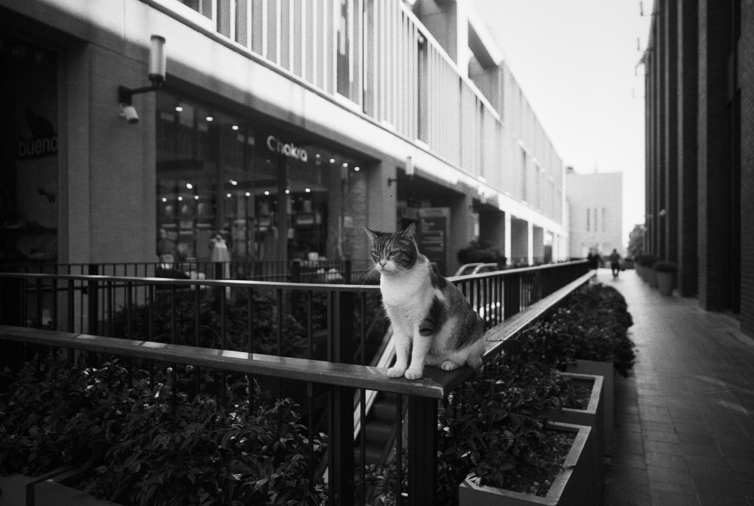 Istanbul / Türkiye. Фотограф Юрин Евгений