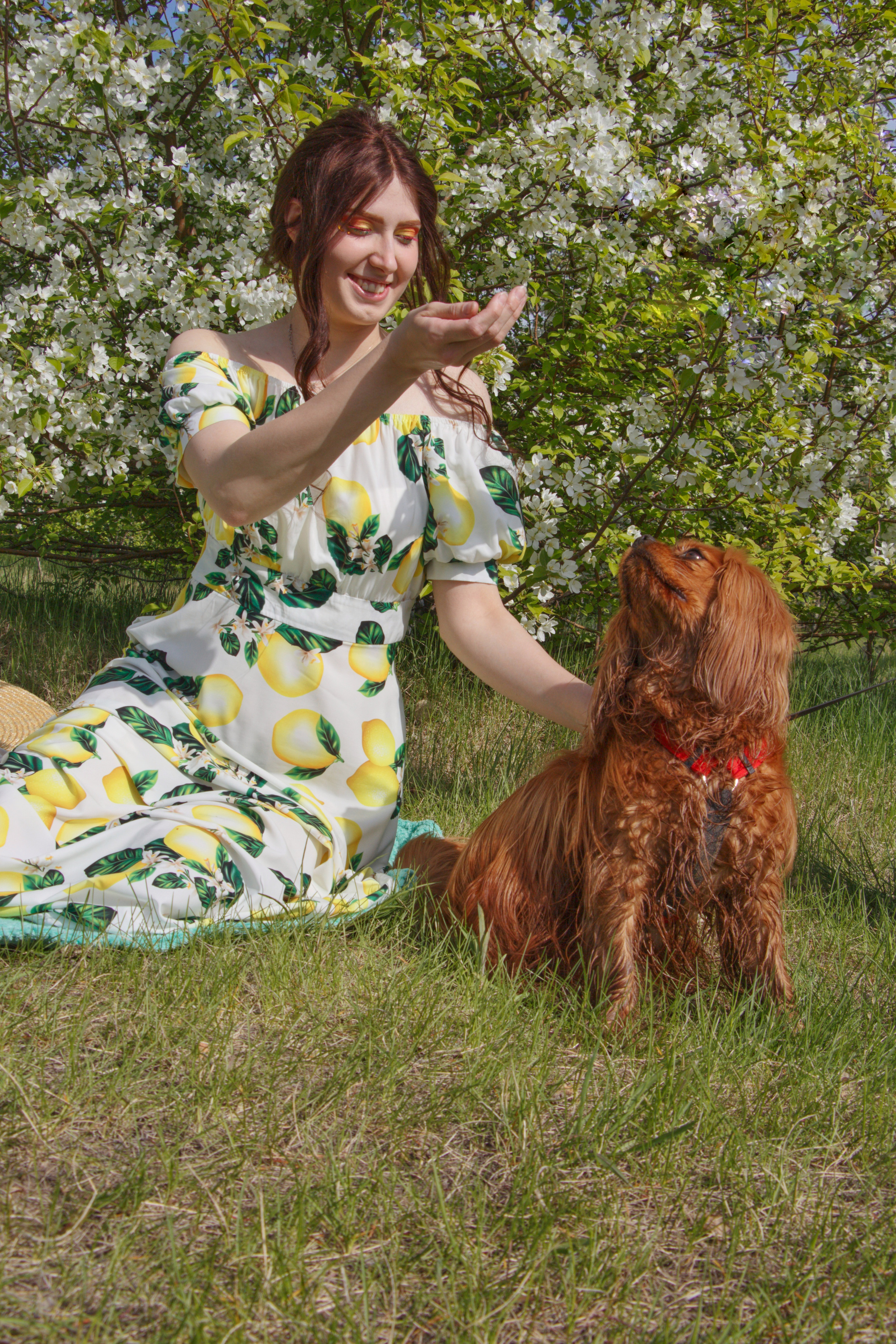 Яблоневый пикник Анны…. Творческая, семейная Фотосъемка ДоброДарова Елена Омск