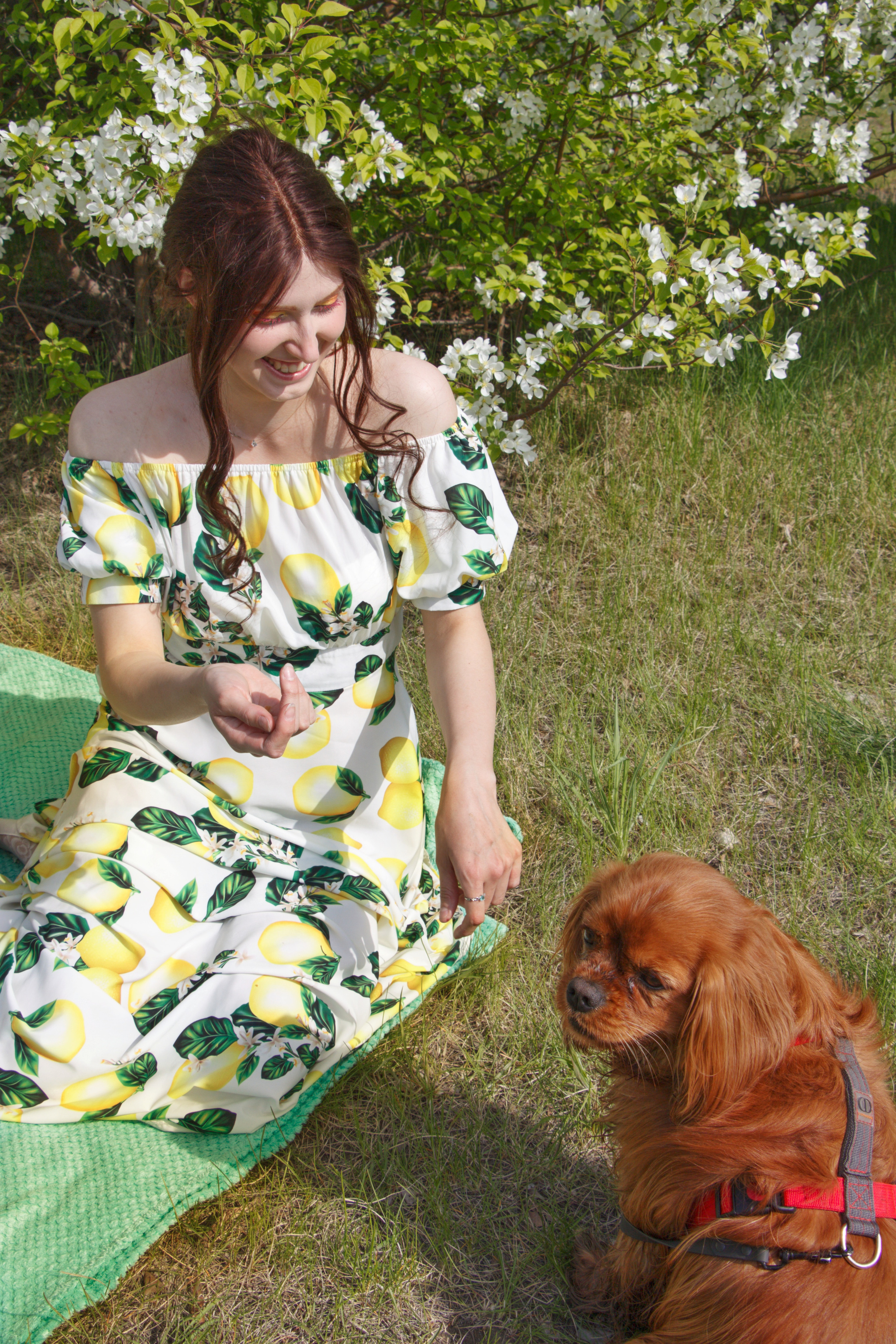 Яблоневый пикник Анны…. Творческая, семейная Фотосъемка ДоброДарова Елена Омск