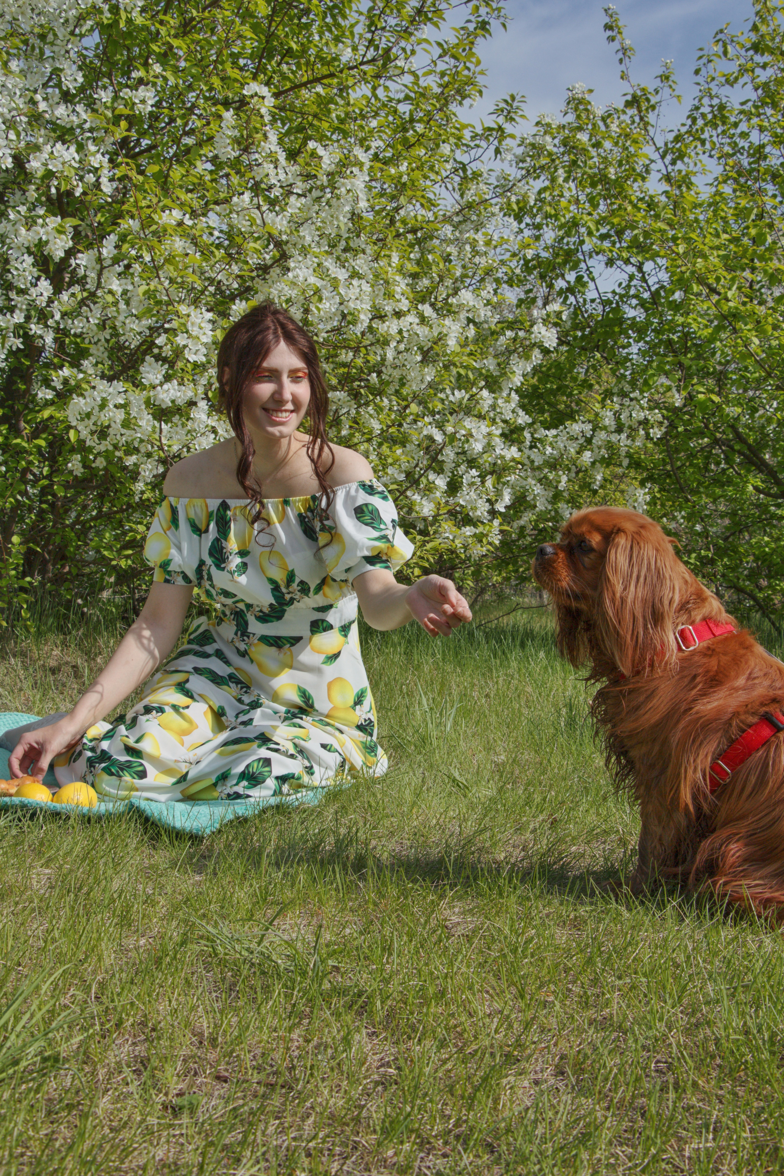 Яблоневый пикник Анны…. Творческая, семейная Фотосъемка ДоброДарова Елена Омск