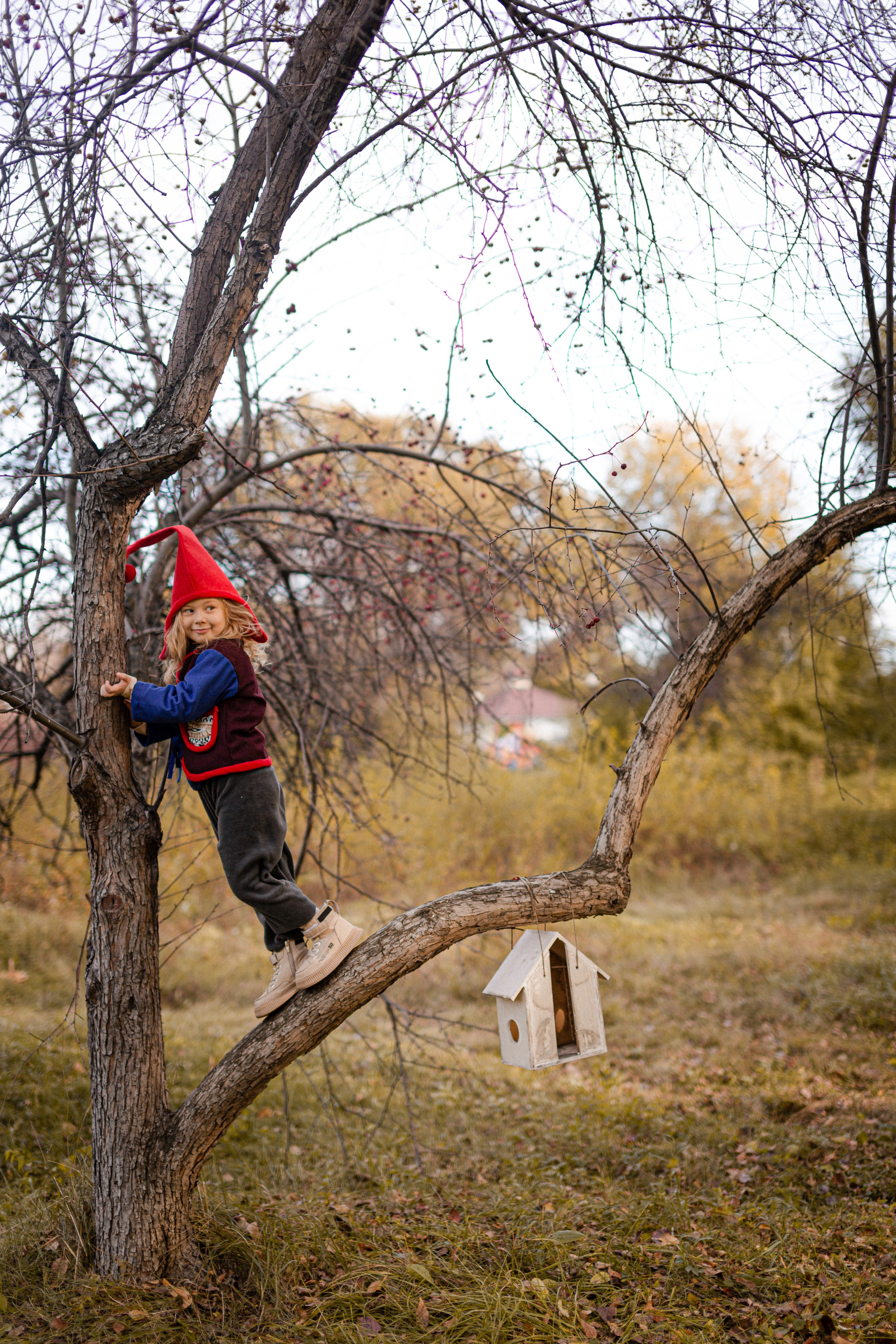 Лесные гномы