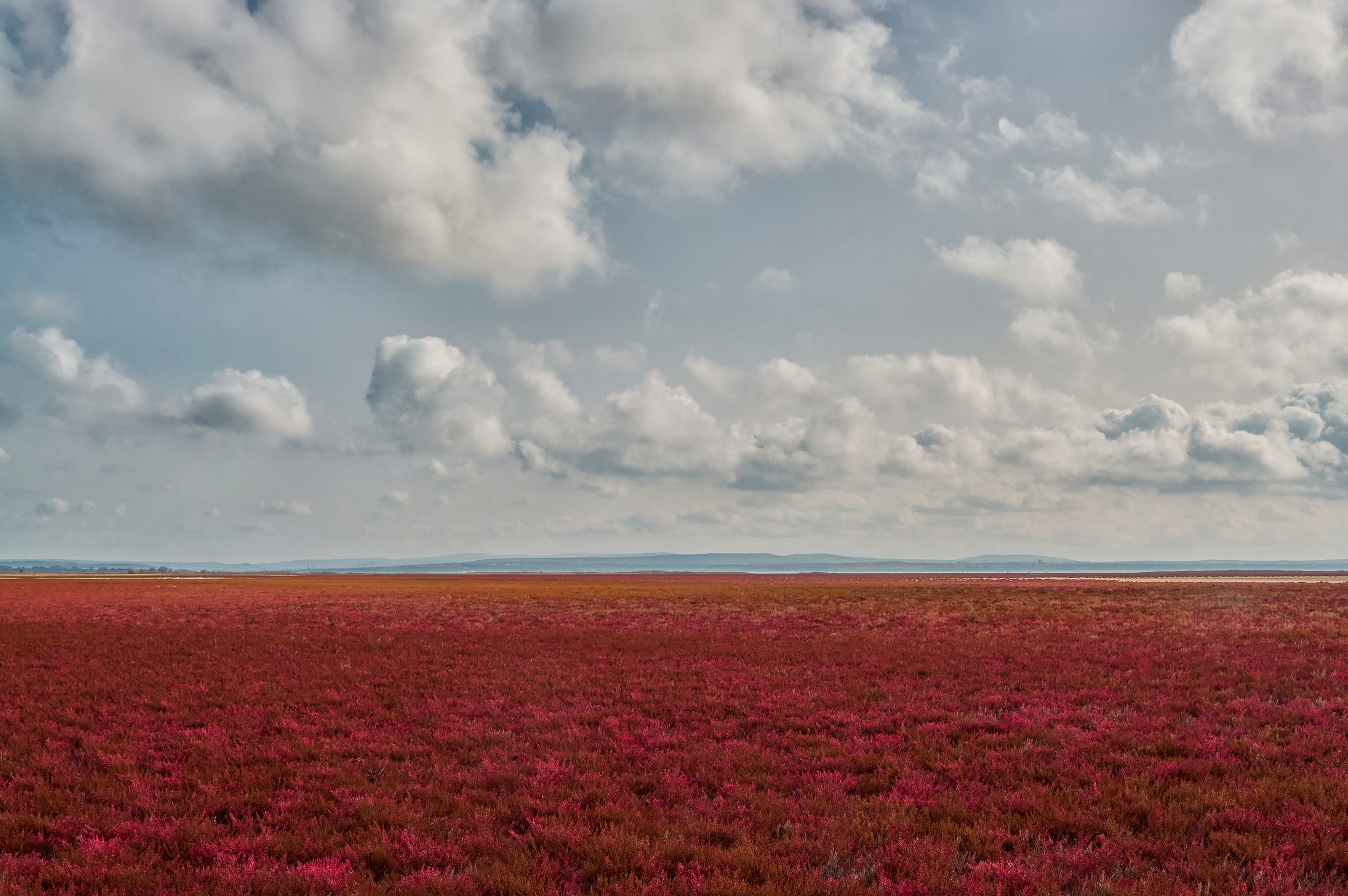 Пейзажи. Яркие фото на Чёрном море