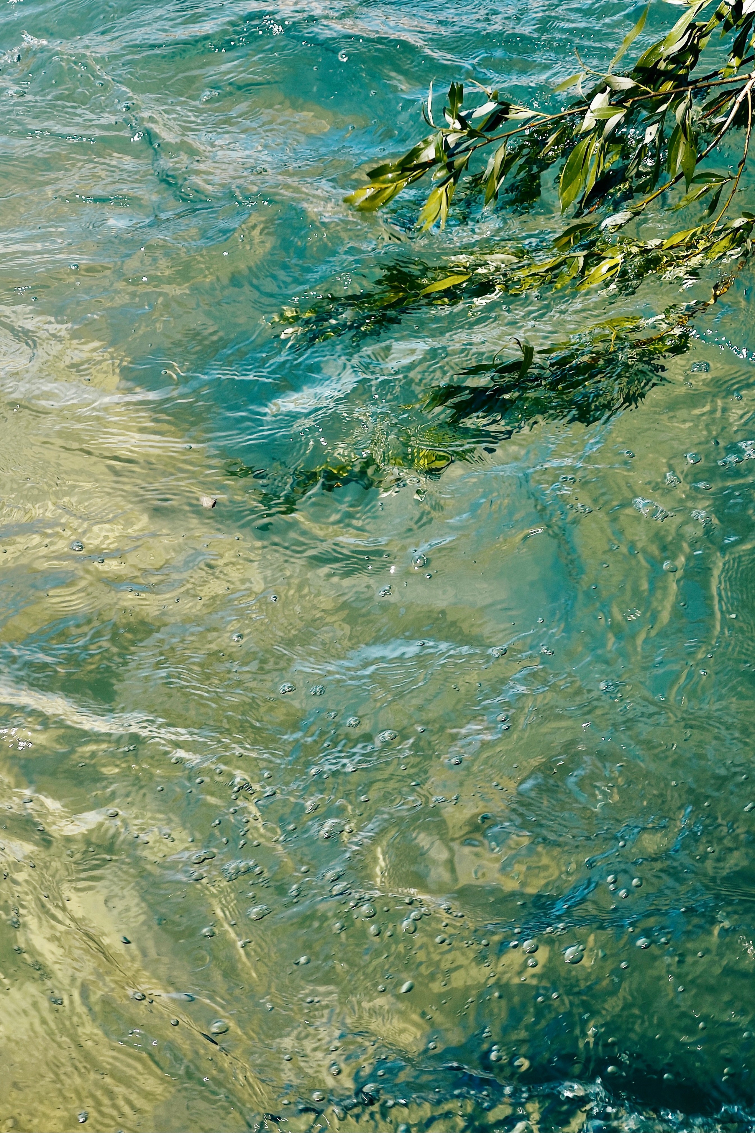 EKATERINA BOGDANOVA ─ PHOTOGRAPHER