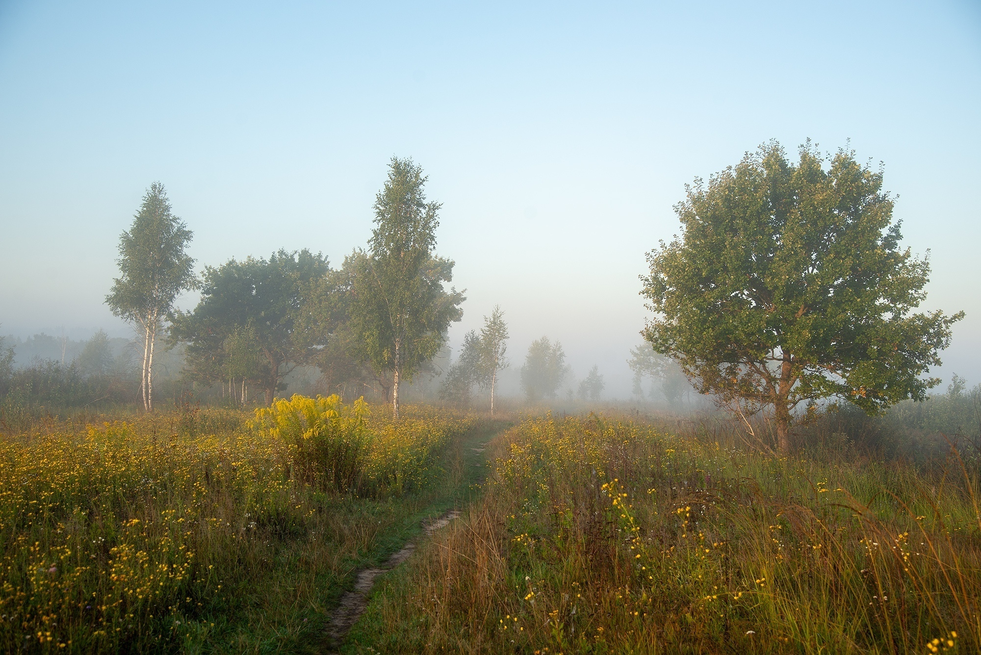 Итоги 2019: лучшие фотографии выпускников фотошколы "Перспектива" за 2. Фотоцентр Перспектива: выпускные альбомы, фотошкола, курсы фотографии