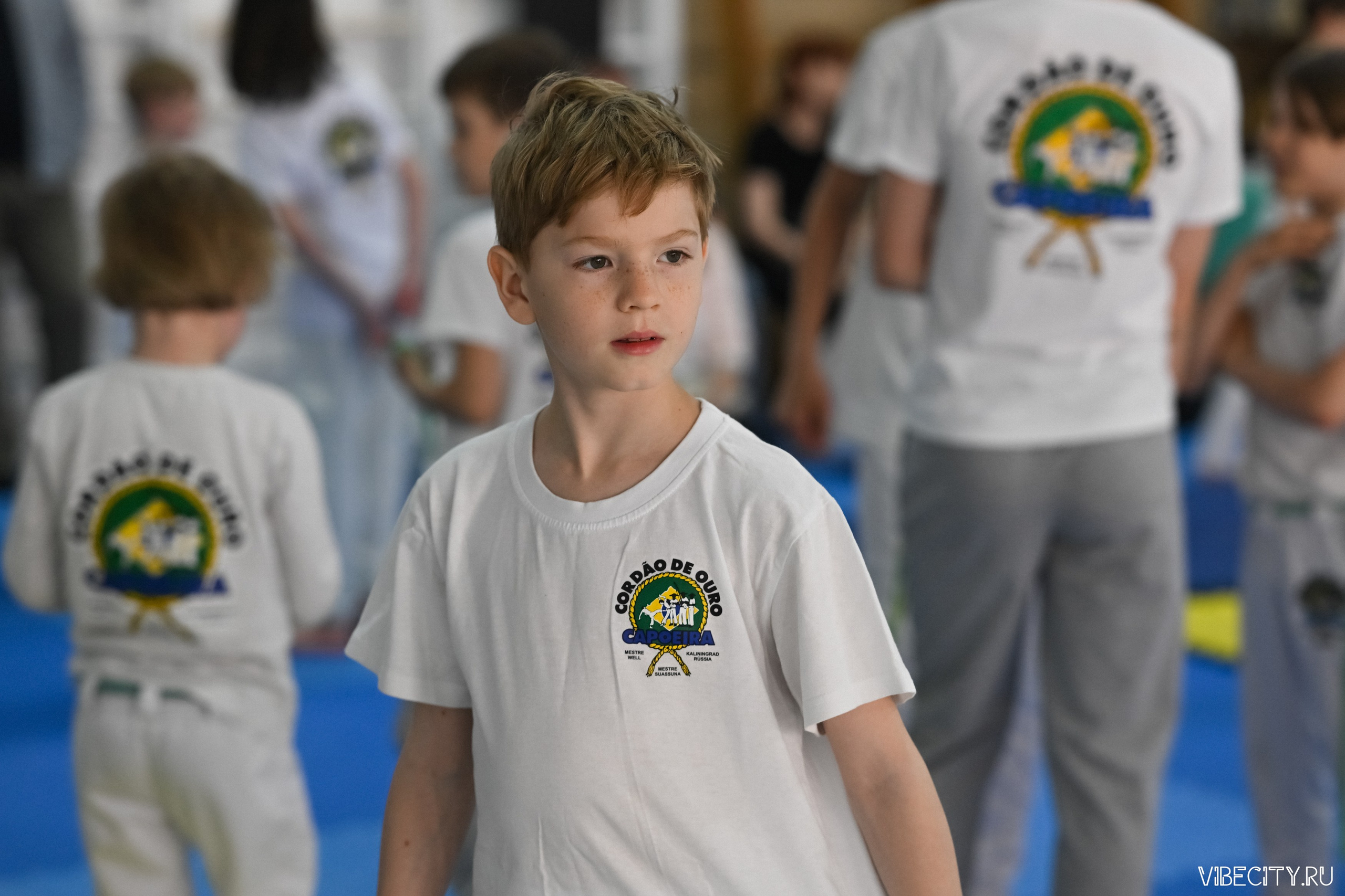 Capoeira: 4-е batizado e Troca de cordao. VIBECITY.RU Вайб Сити Ру Фоторепортажи Фотоотчеты Калининград