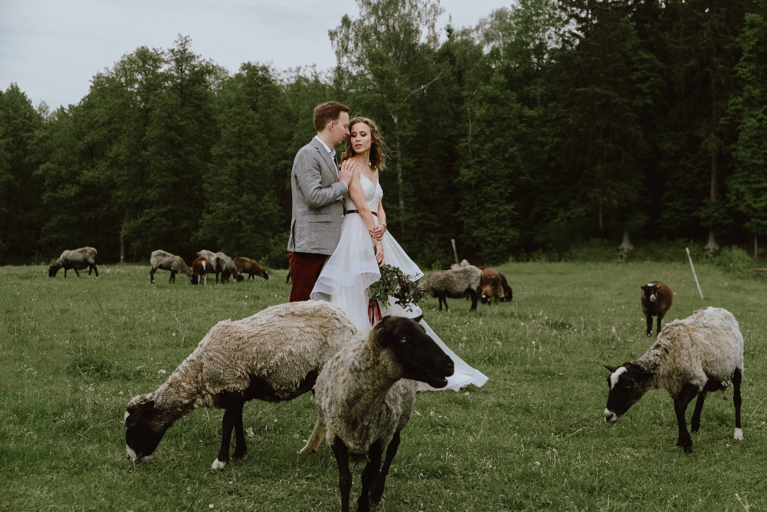 Wedding photographer in Abu Dhabi