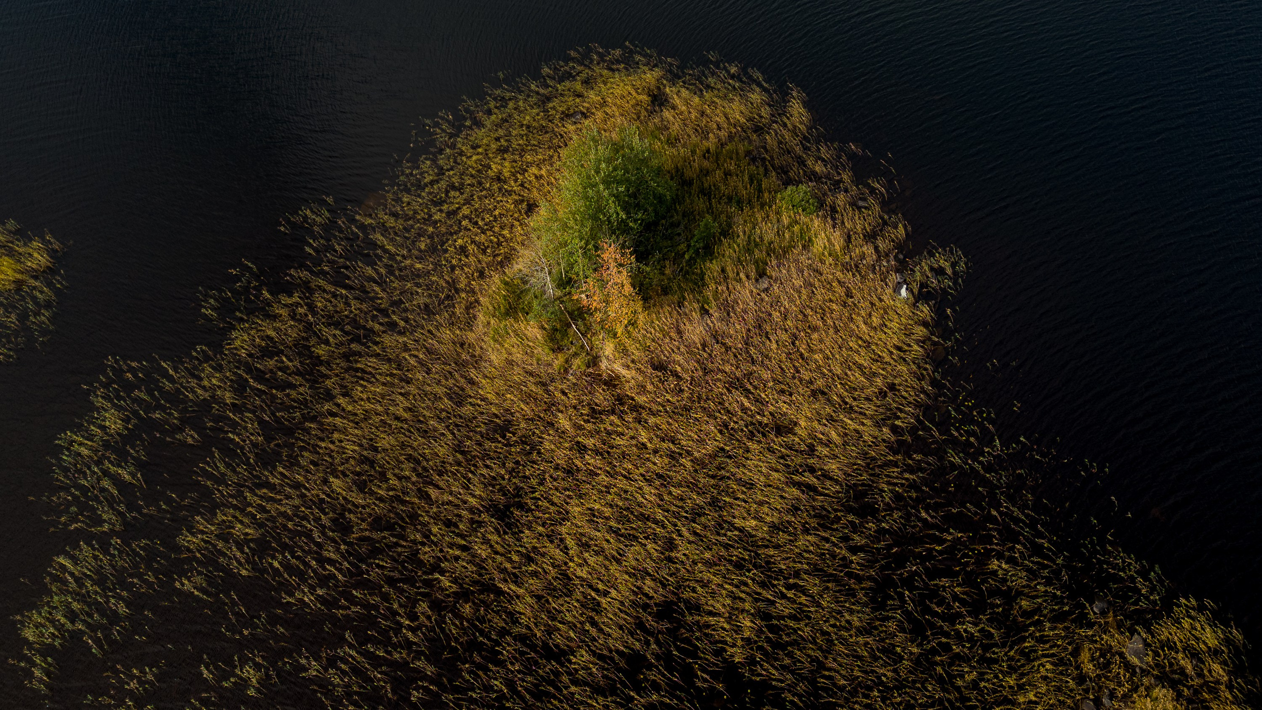 Осень на Карельском перешейке. Сентябрь
