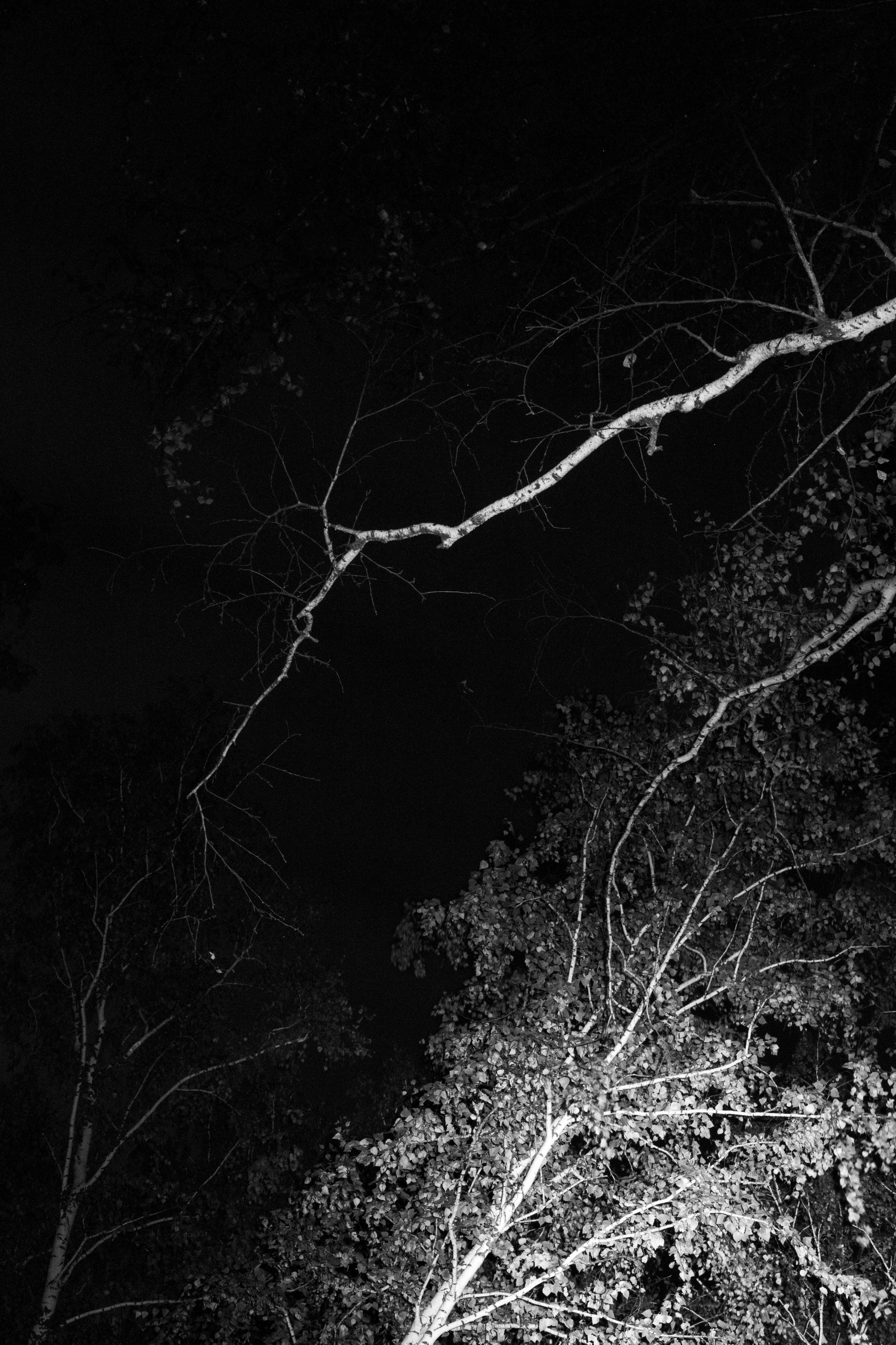 CRADLE. YAKUBOVICH EVA PHOTOGRAHER