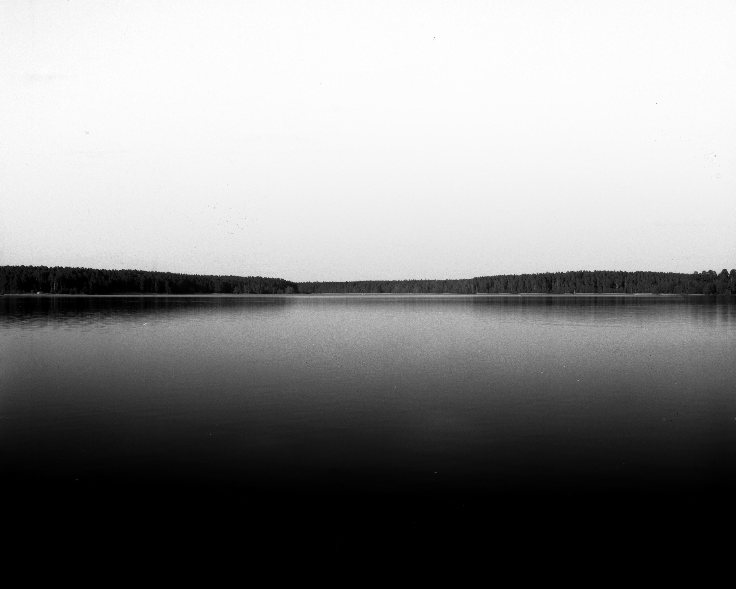 Iron Rose. Valerii Konkov