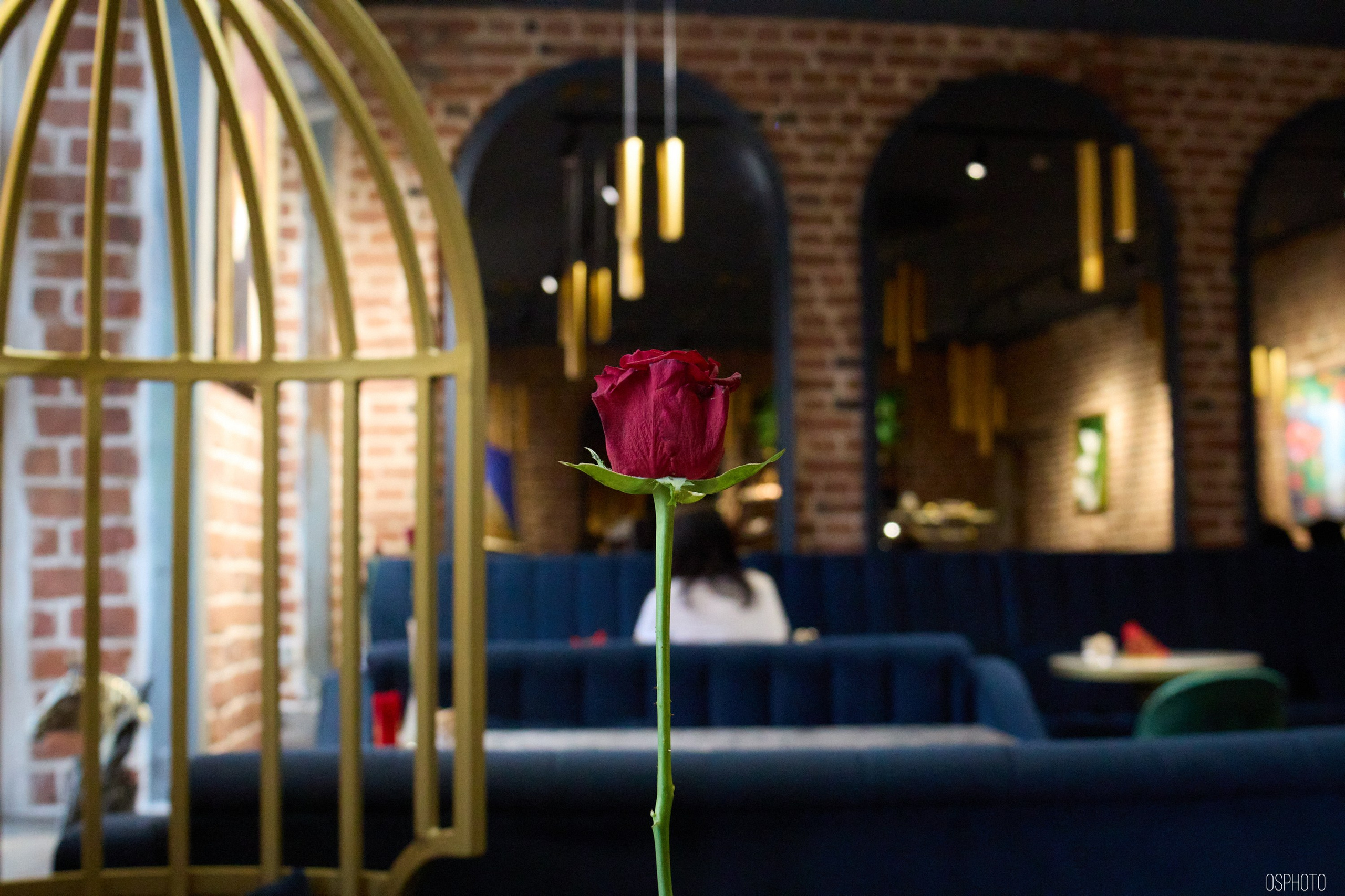 Псков. Ноябрь. Фотографъ Сергѣевъ. Поймать мгновеніе