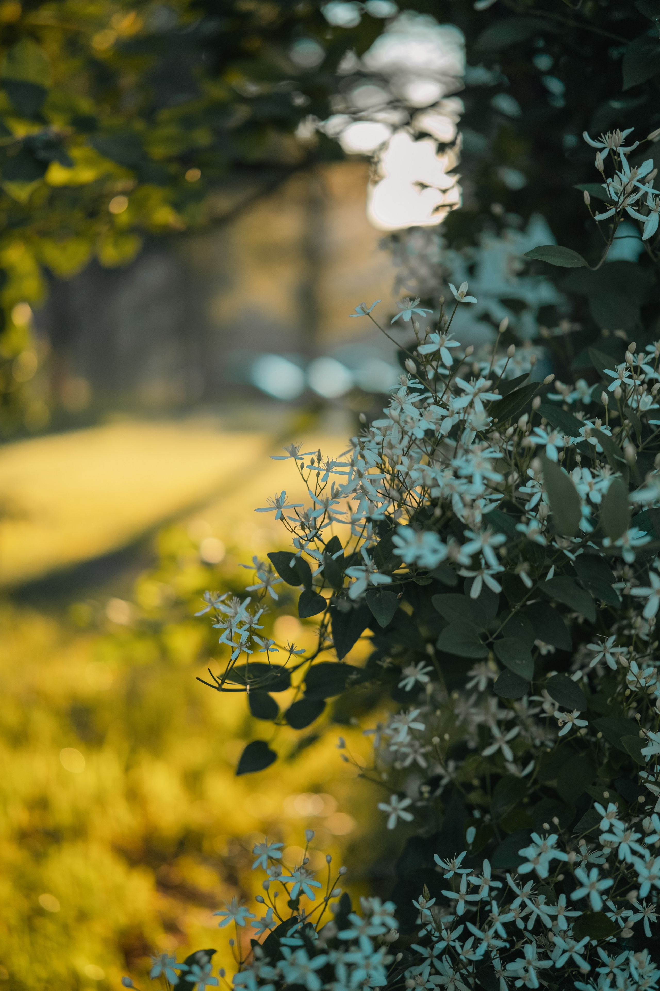 Green. Фотограф Олеся Кавлакан