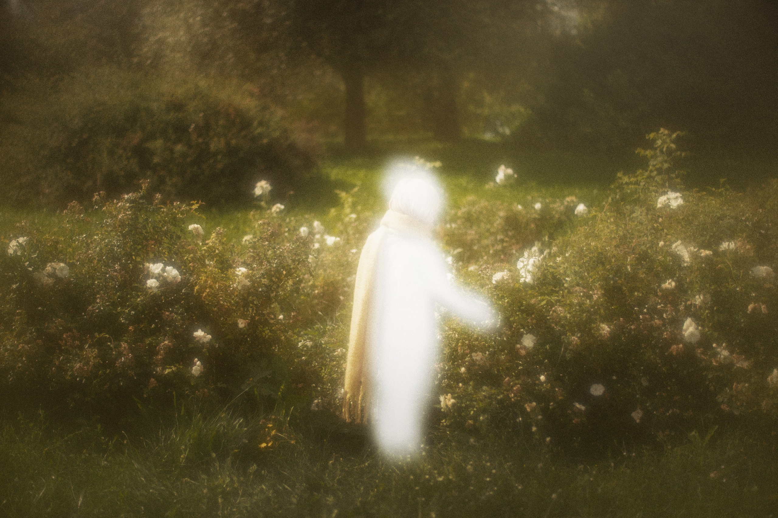 Маленький Принц. Фотограф детей и подростков в Москве Таня Королева