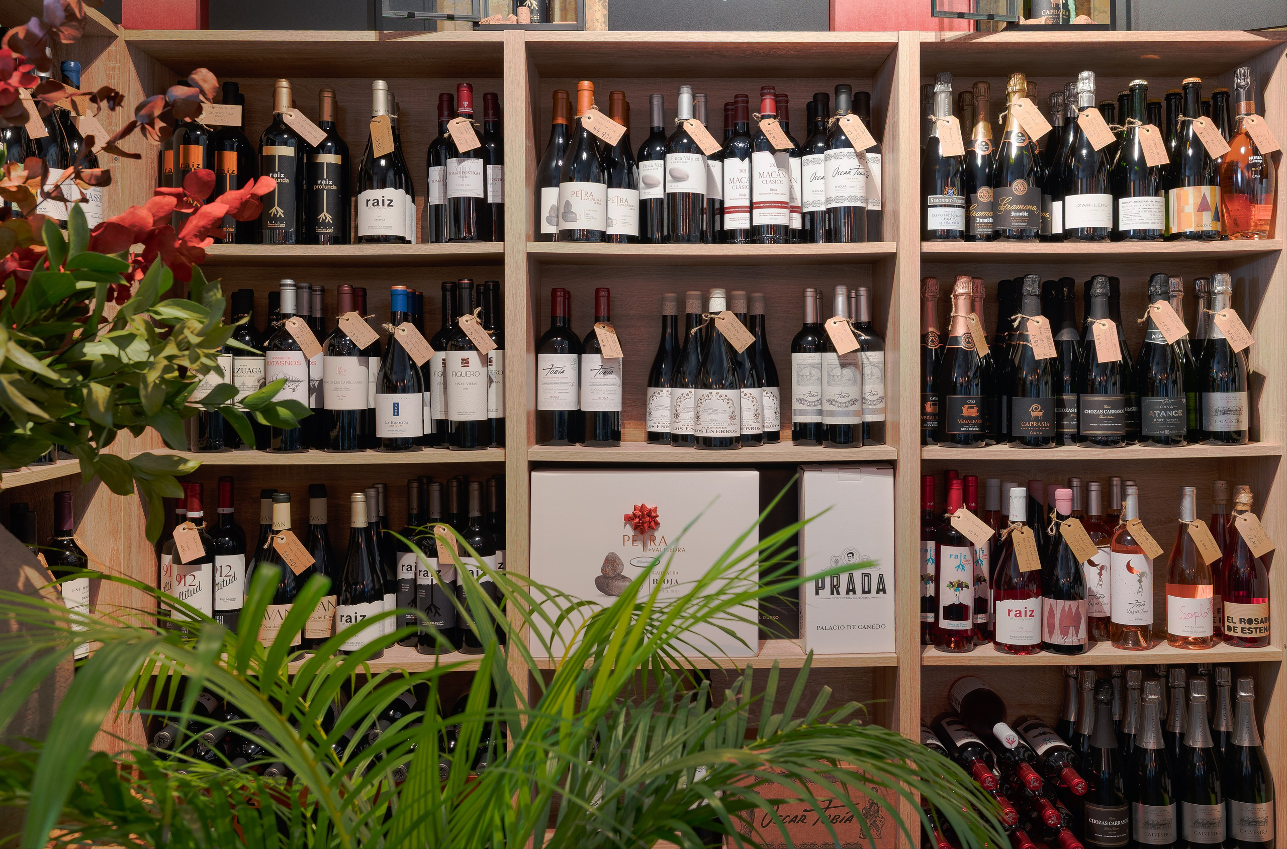 Interior photography in Valencia and Spain | Professional photographer. Photographer Videographer & Drone pilot in Valencia — Anna Baranova