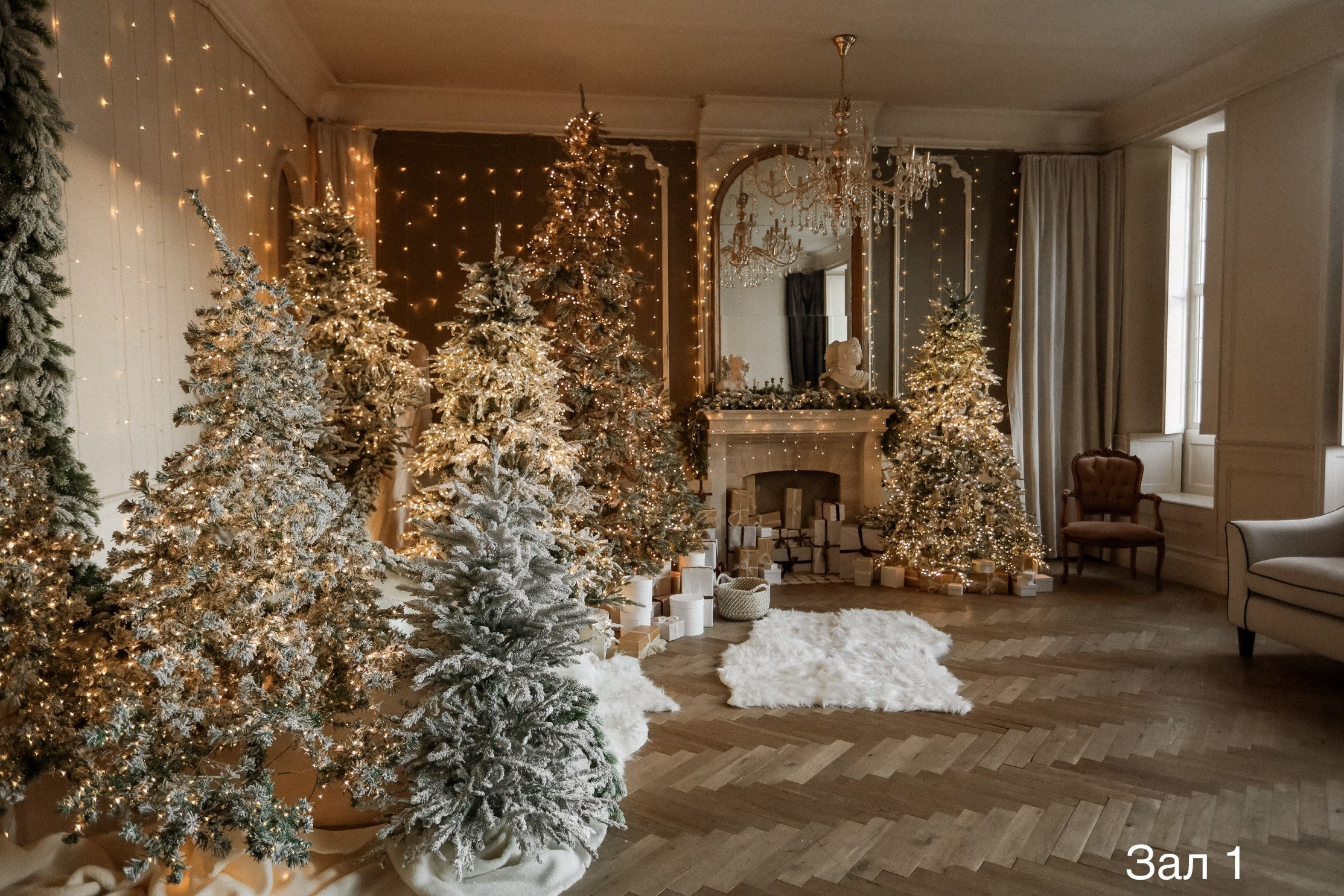 Фотостудии. Евгений Щетников Фотограф-Тюмень