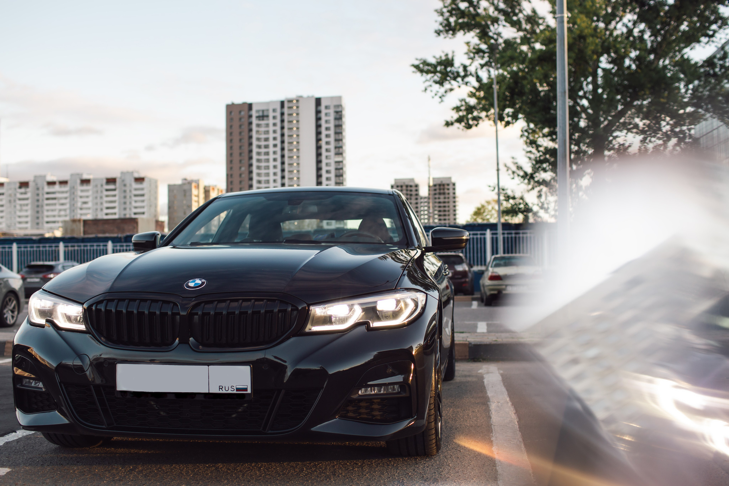 Фотограф Светлана Петрова