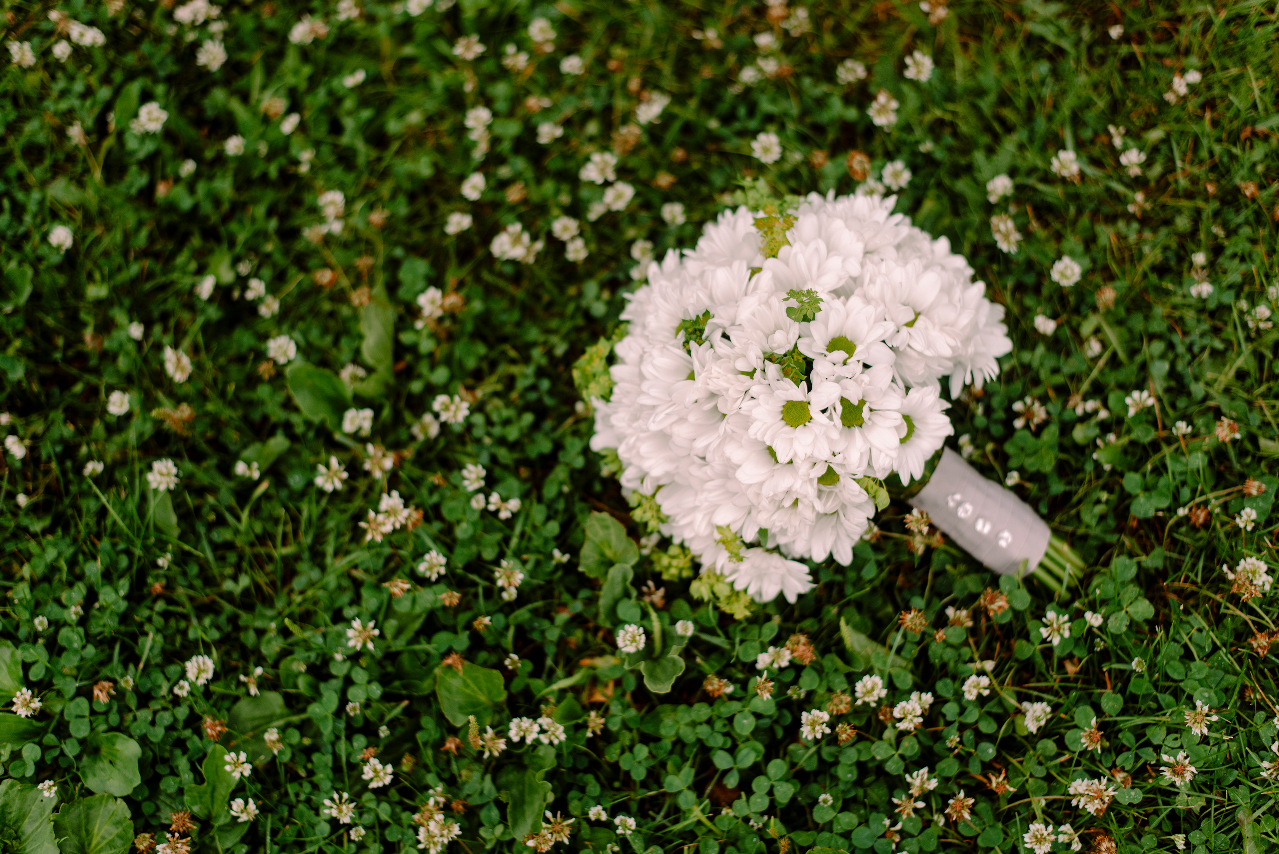 Поцелуи под дождем. Семейный и свадебный фотограф в Рязани Лиза Голованова