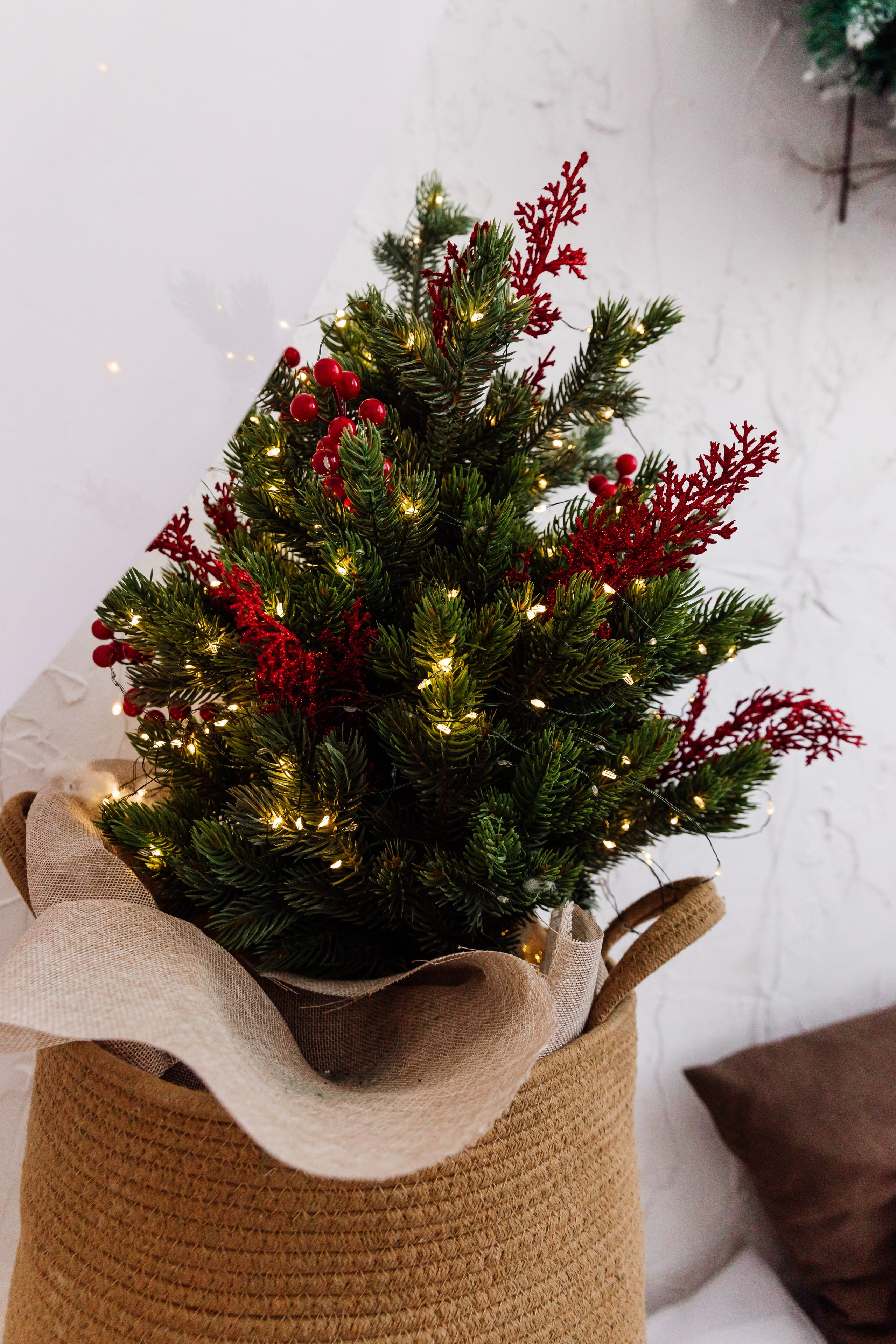 Студия SFERA82 (фото, видео, подкасты, reels). Свадебный фотограф и видеограф Владислав и Анастасия Макриди