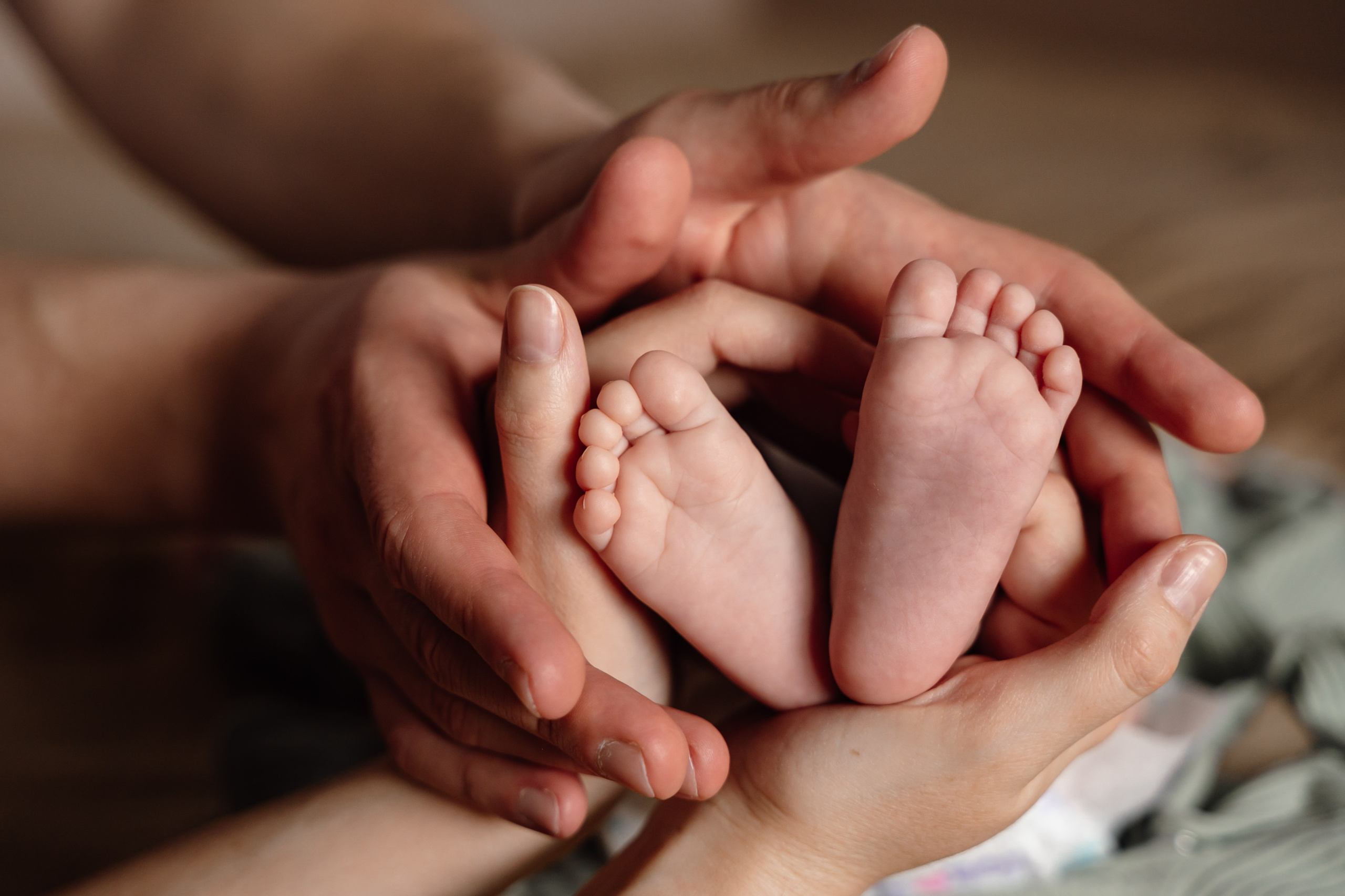 Беременность Жени и Жени. Свадебный фотограф в Новосибирске Алена Цизман