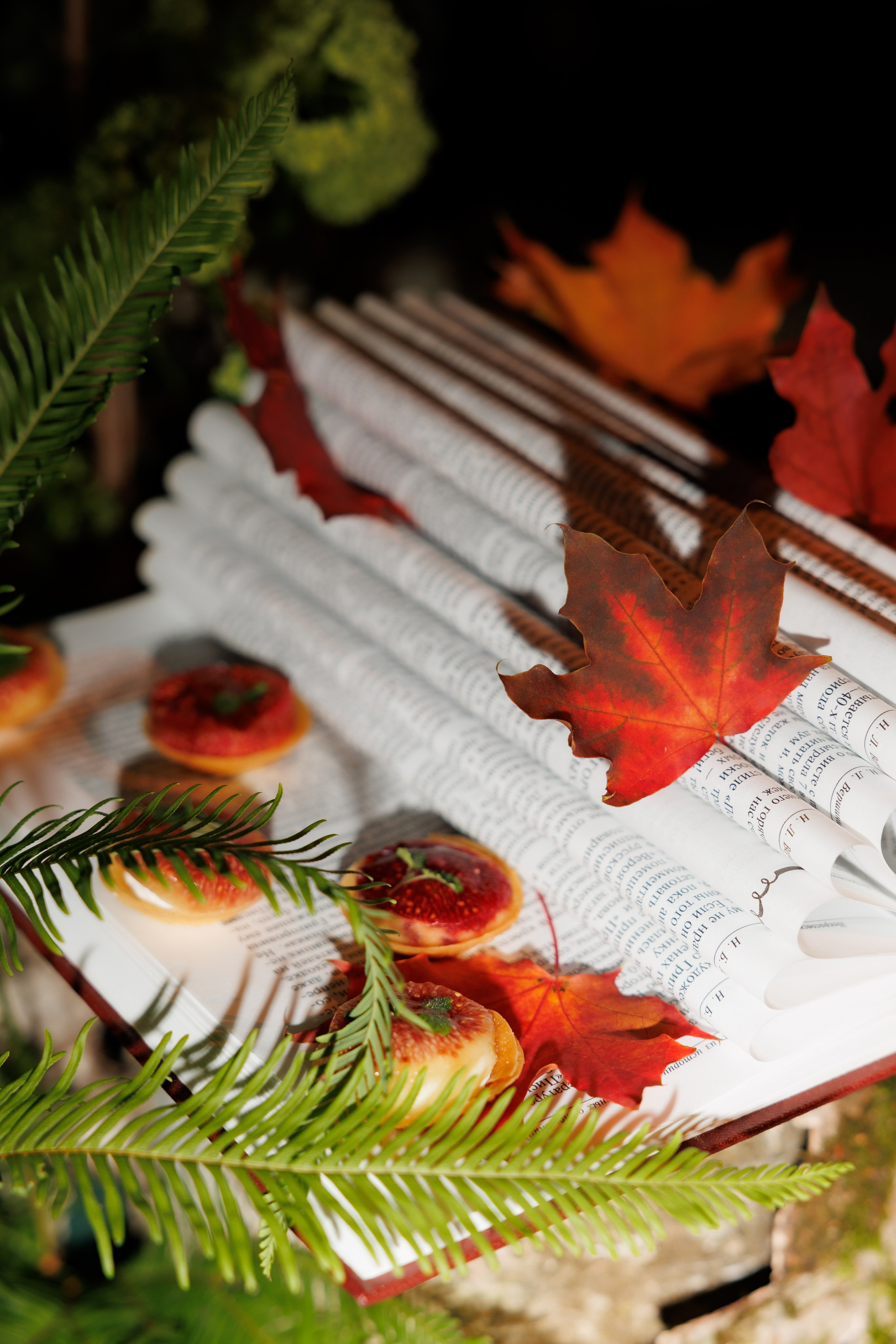 День Рождения ресторана «White Rabbit». «Птичка на проводе»: информационный портал в Москве