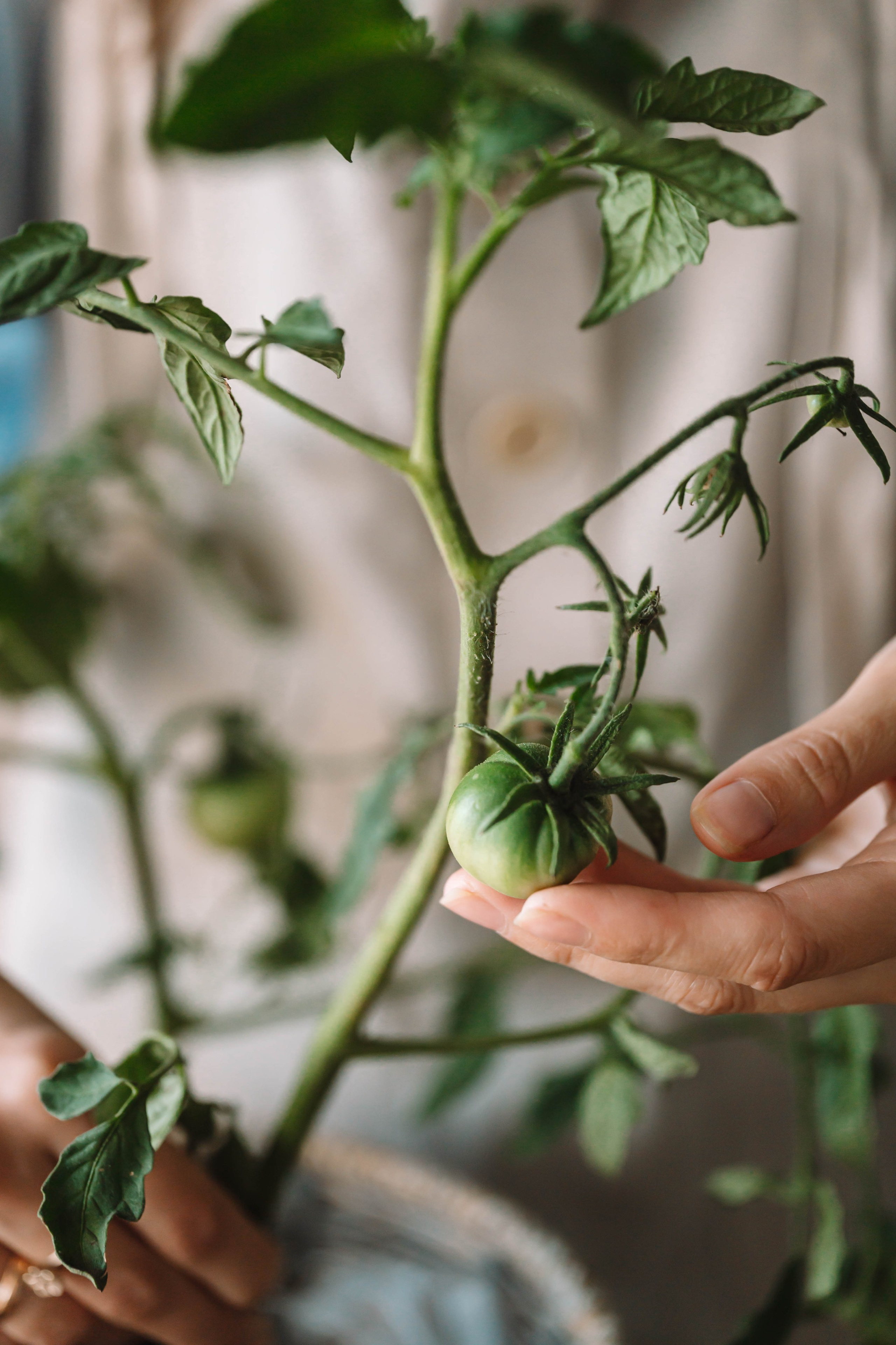 Люди. Фотограф Олеся Кавлакан