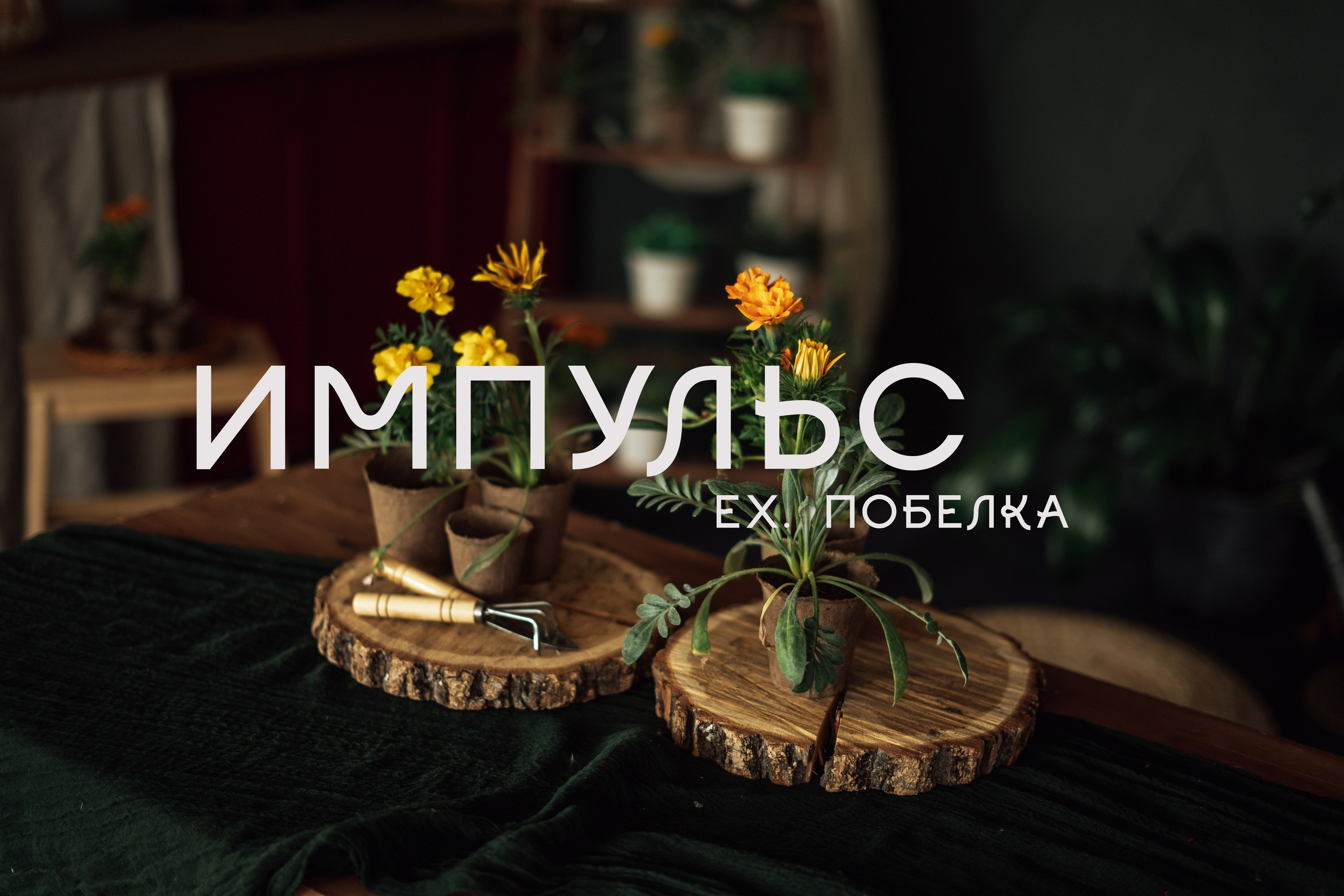 Импульс Life. Фотограф Юлия Андриянова Саратов