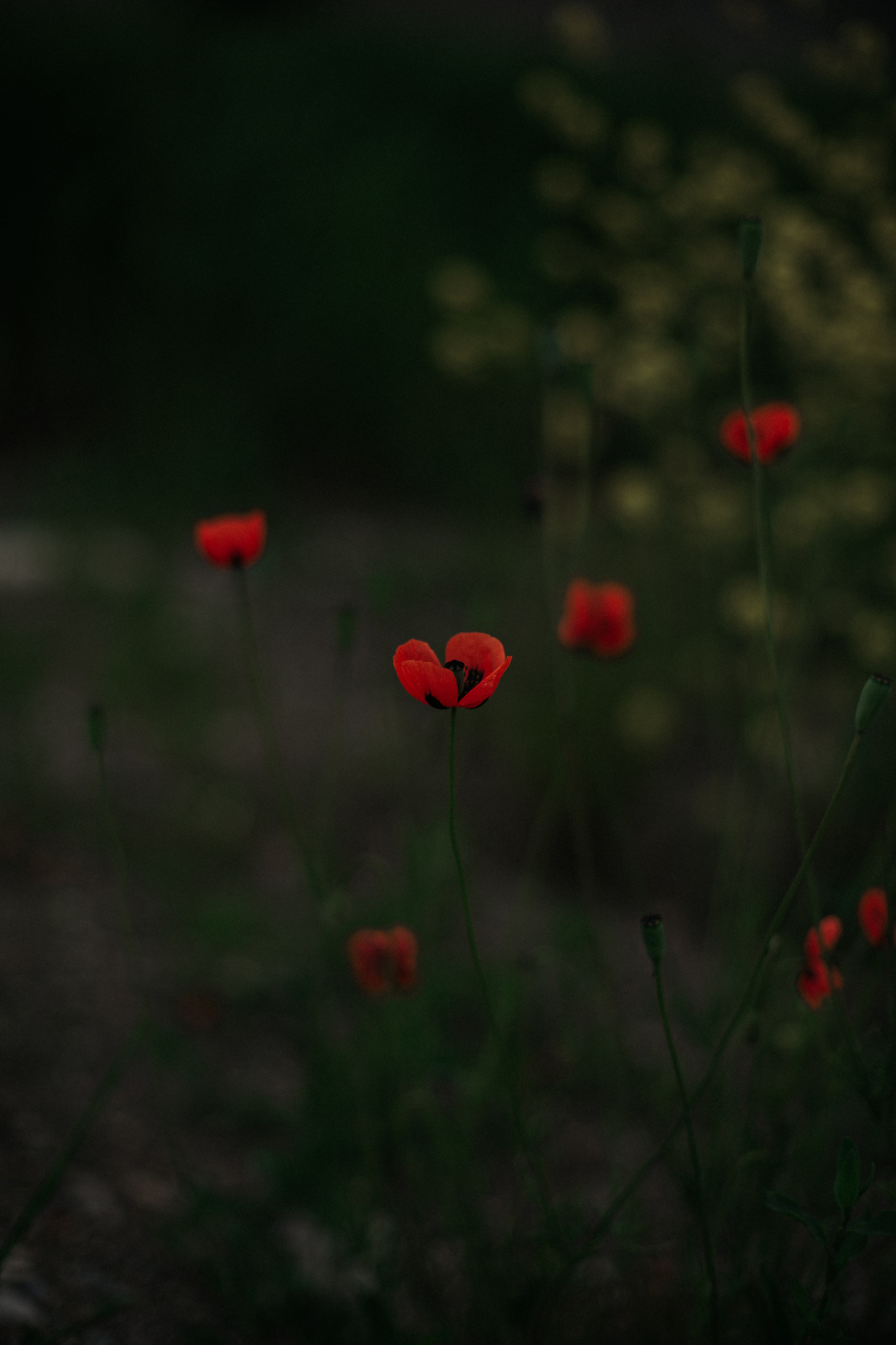 Дороги земли ветров. Портретный фотограф в Москве и Геленджике Кирилл Вахитов