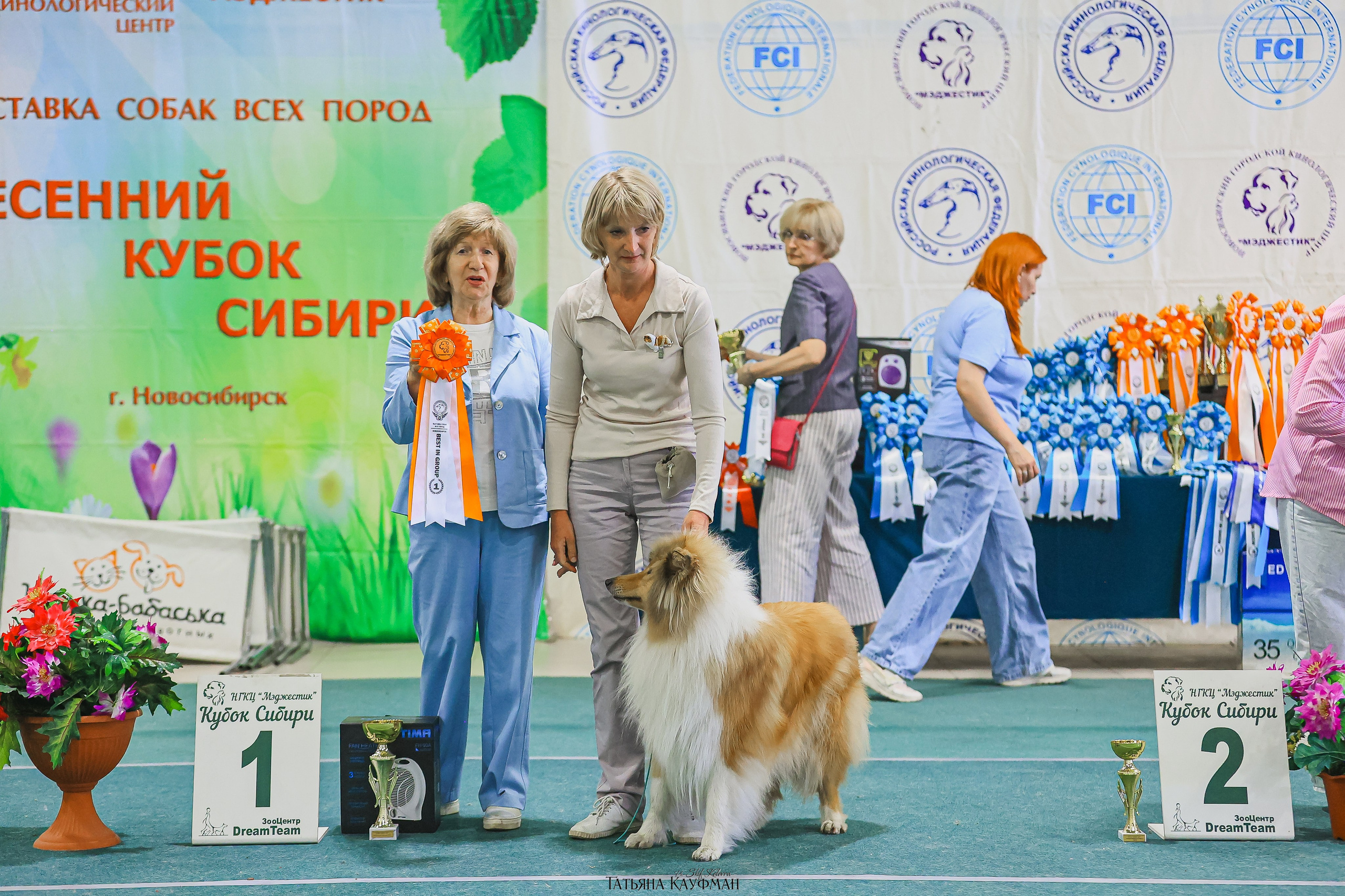13.07.25 2х выставки собак. Новосибирск. «Кубок Сибири»