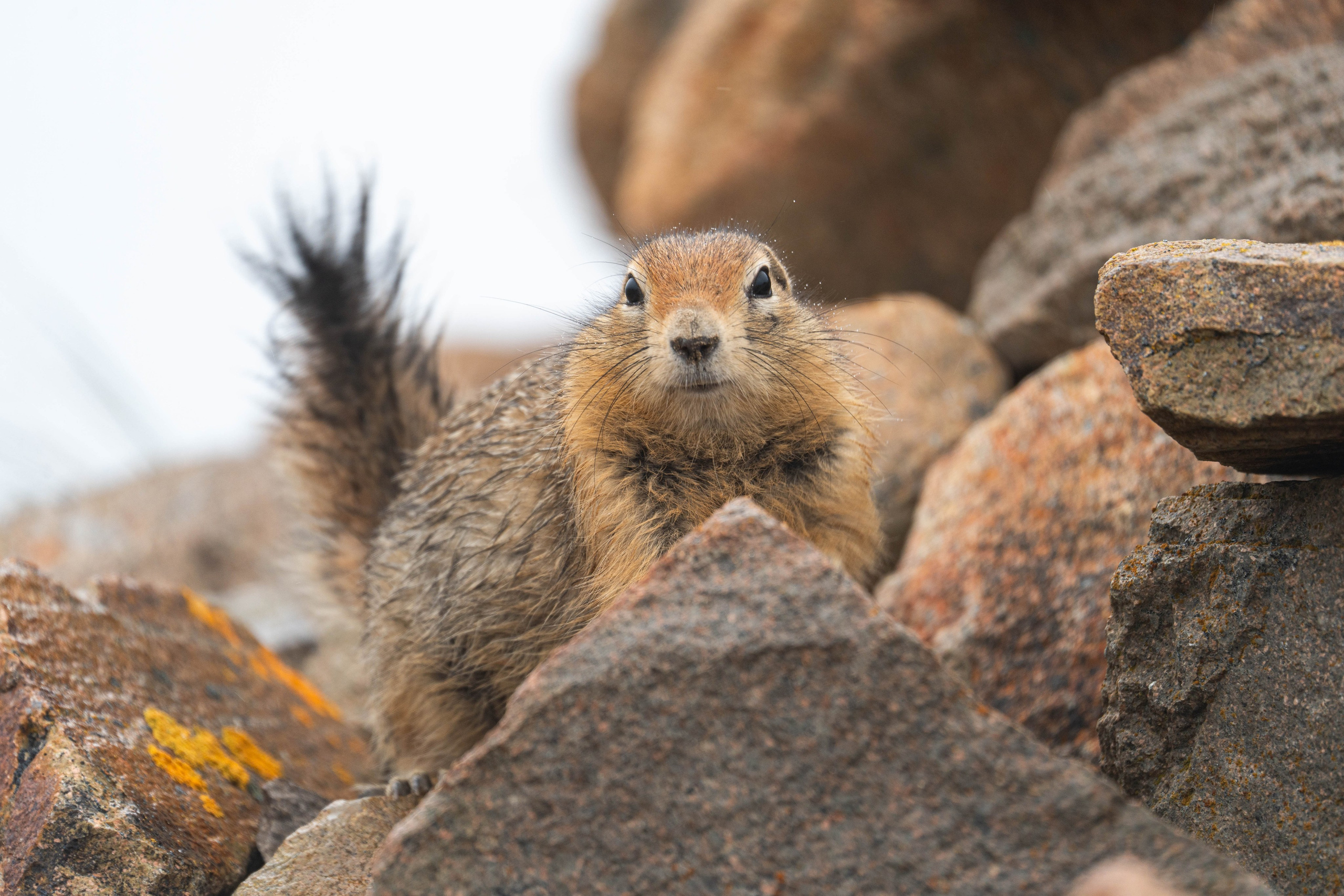 Проекты. Gusarov Travel Photography