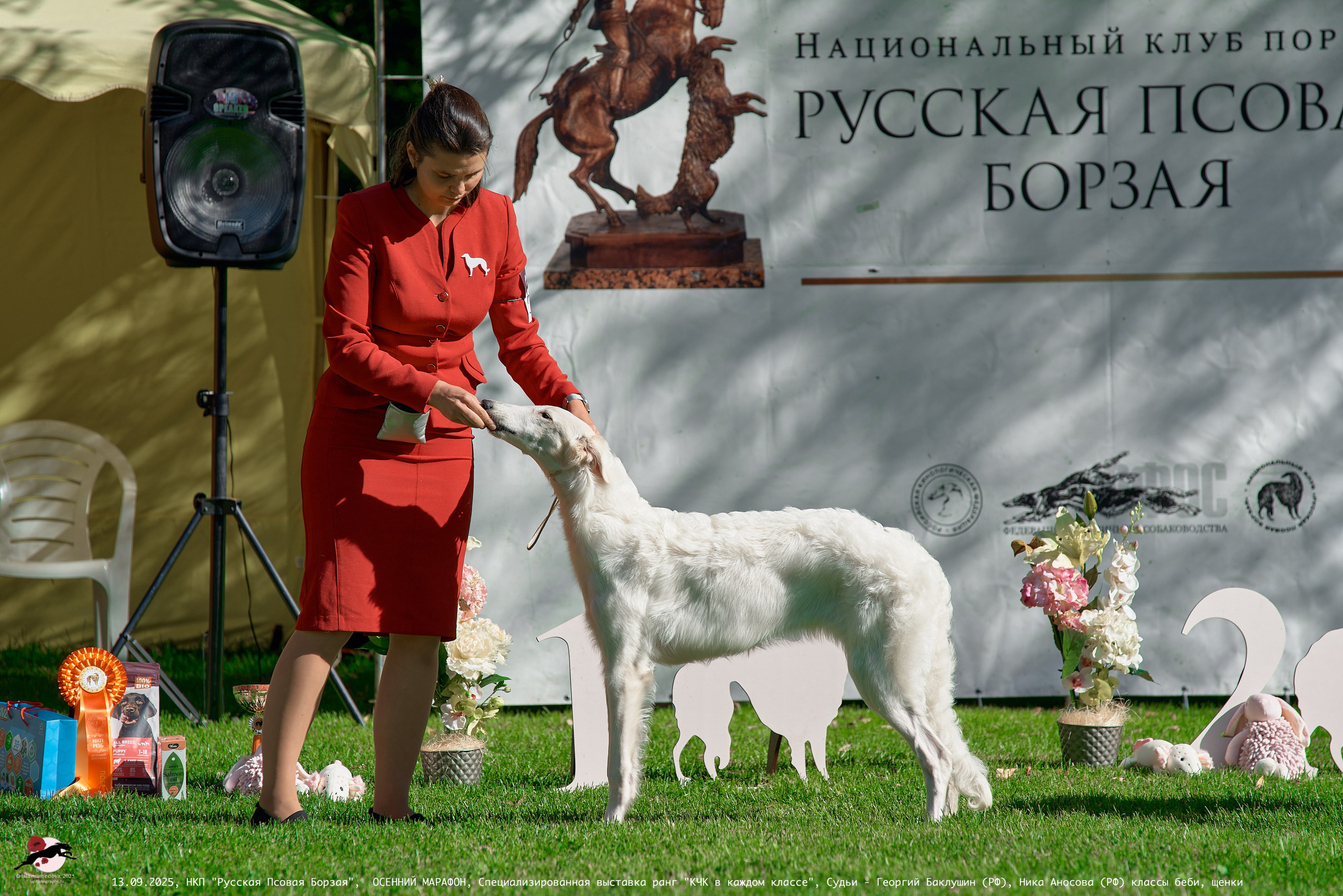 ОСЕННИЙ МАРАФОН | Специализированная выставка породы Русская Псовая Борзая ранг "КЧК в каждом классе"