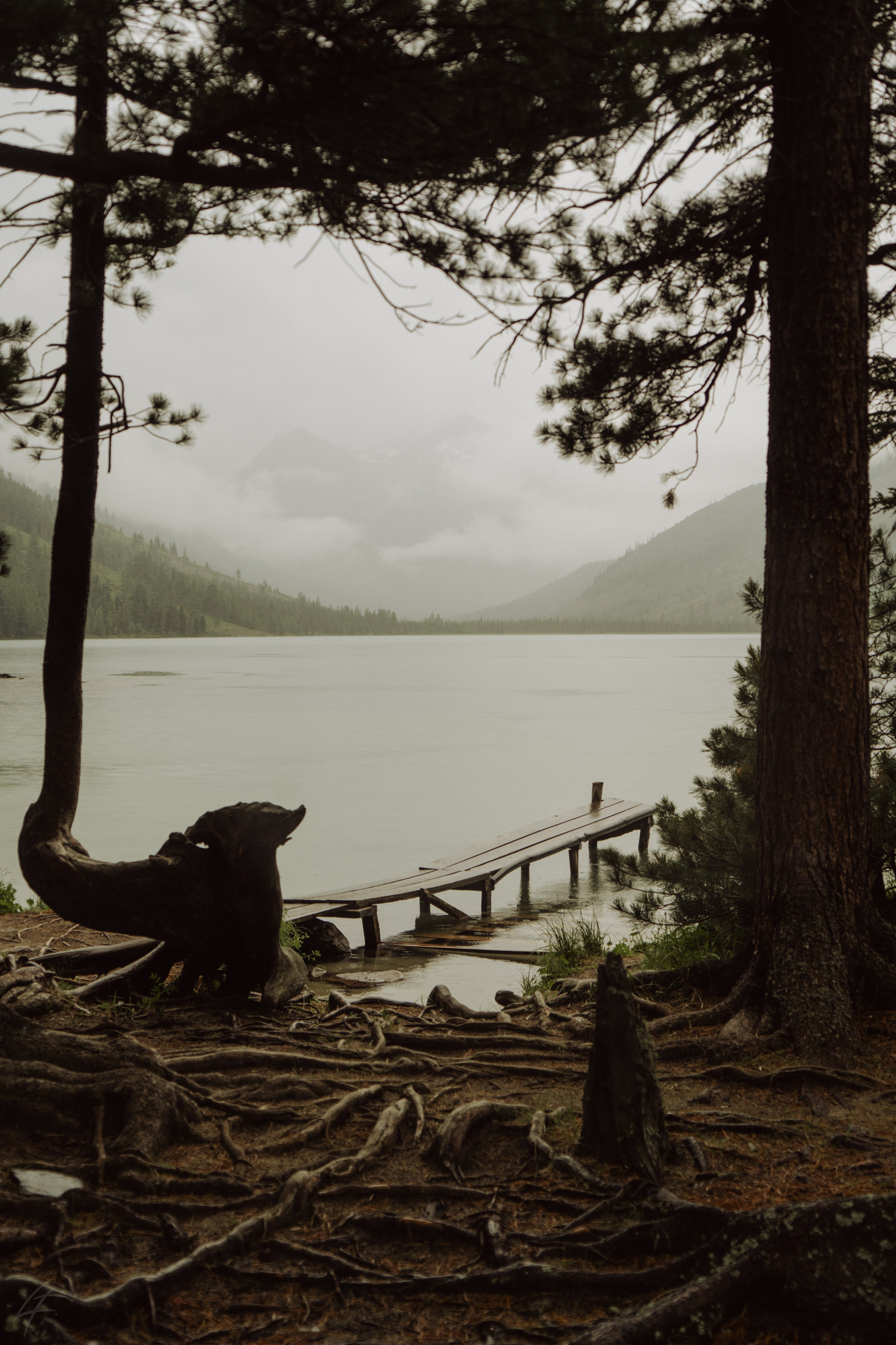 Алтай 2025. Лиза Фирстова