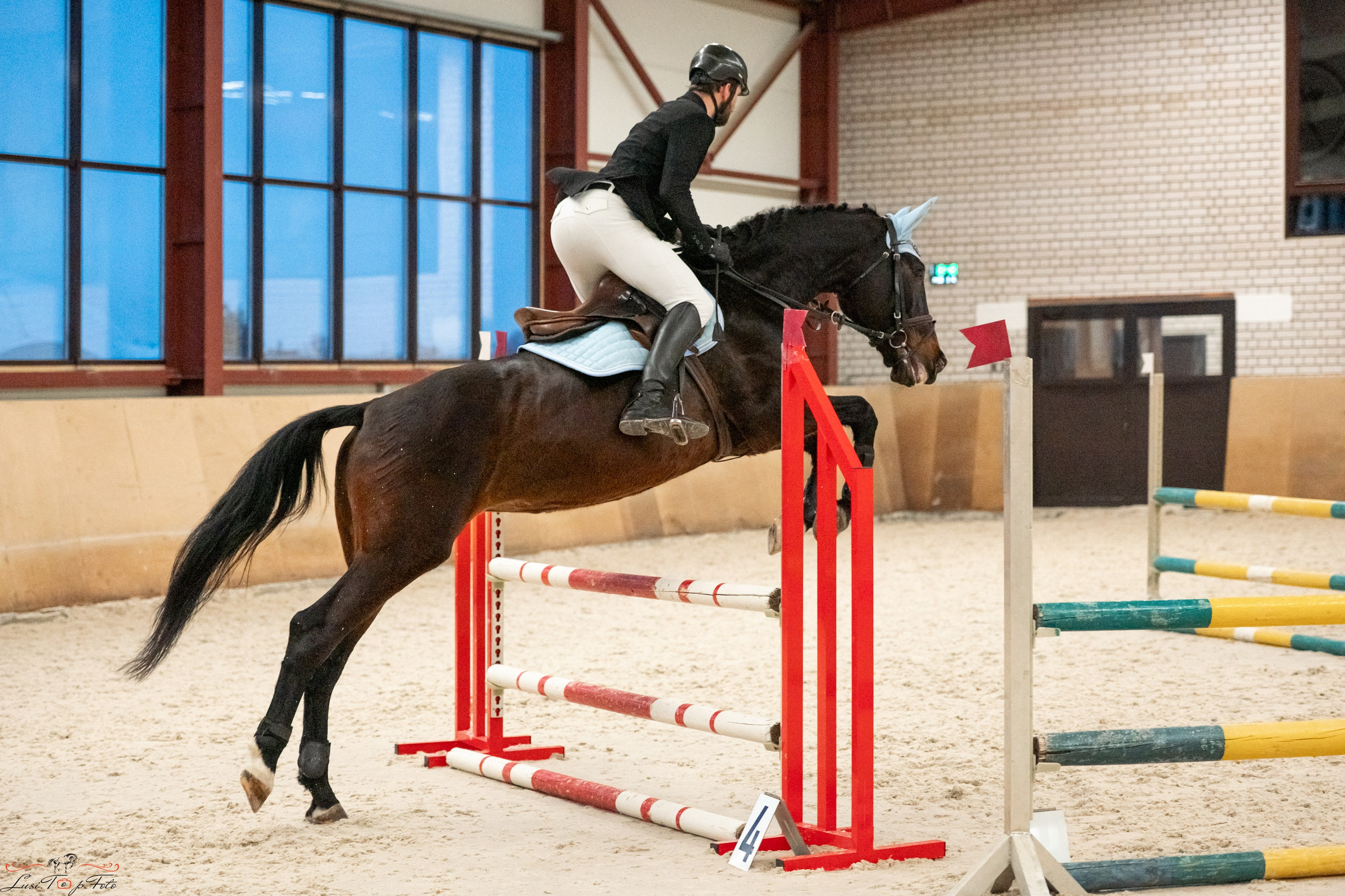 Эквипарк 6 этап Кубка Клубов. Конный и фотограф с животными в Твери Топталова Люся