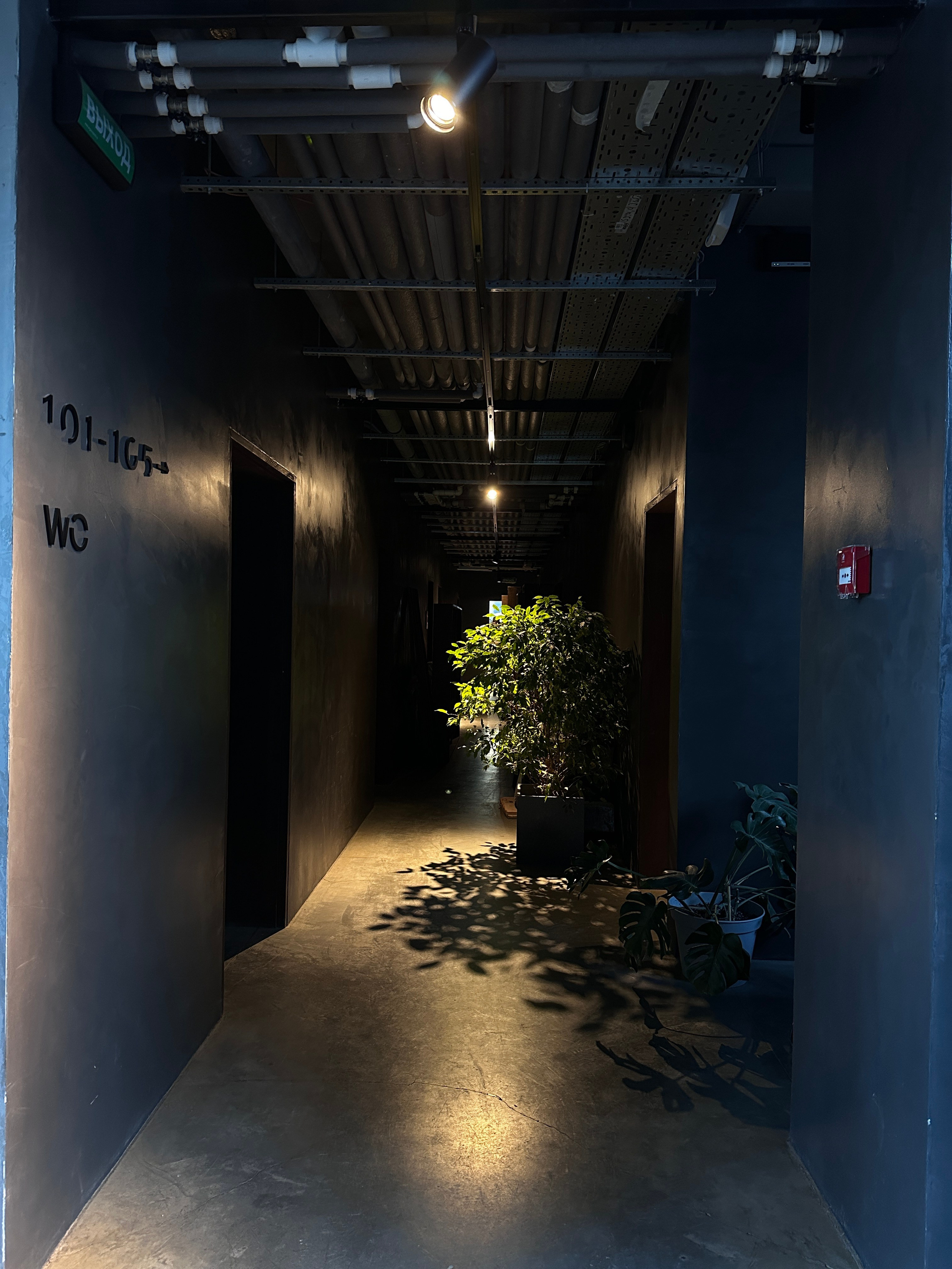 Мероприятия. Смотри, красота!