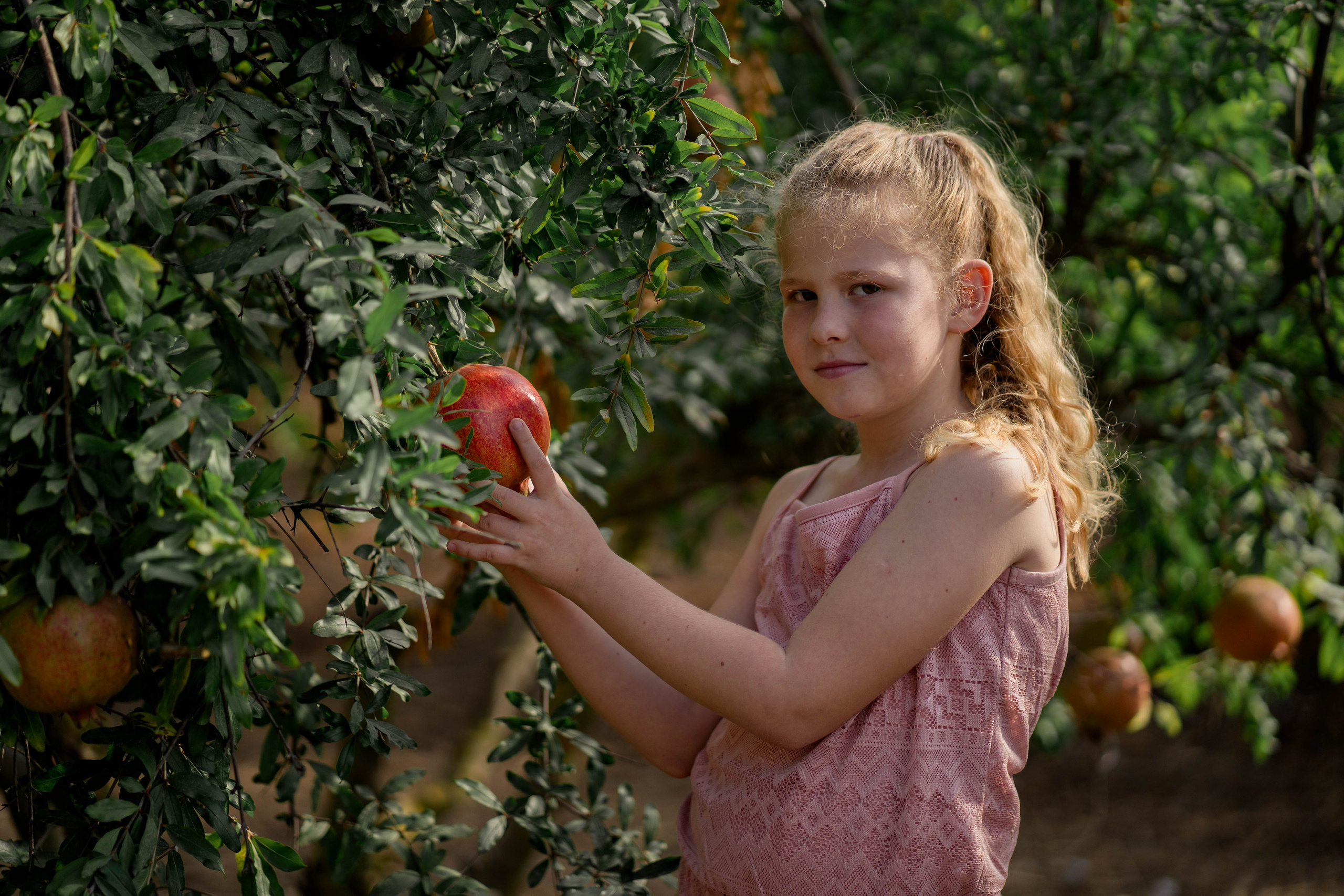 Гранатовый сад. Семейный и детский фотограф в Израиле и Москве Дорошок Надя