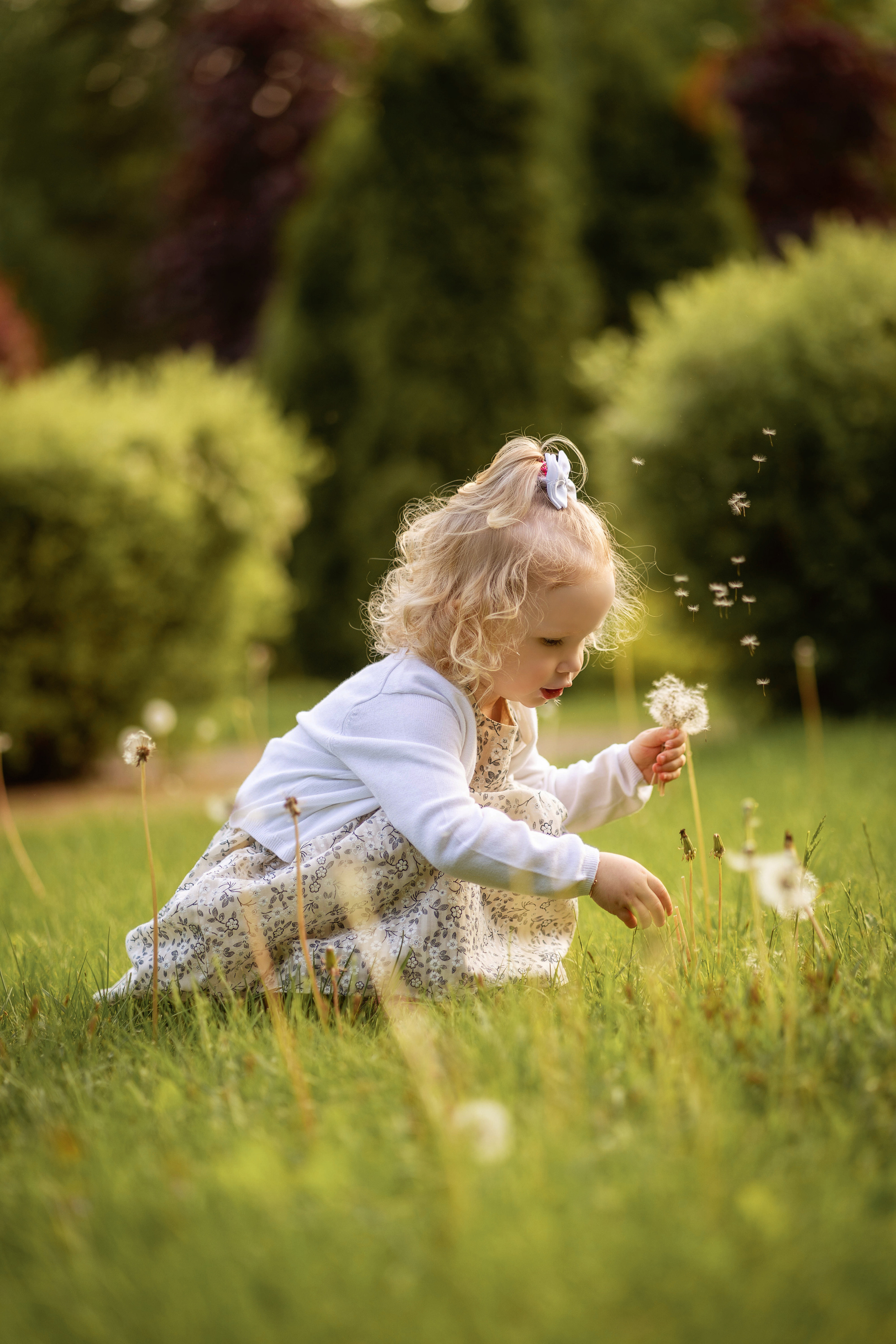 Платон, Мирон, Аврора. Семейный и детский фотограф в Израиле и Москве Дорошок Надя