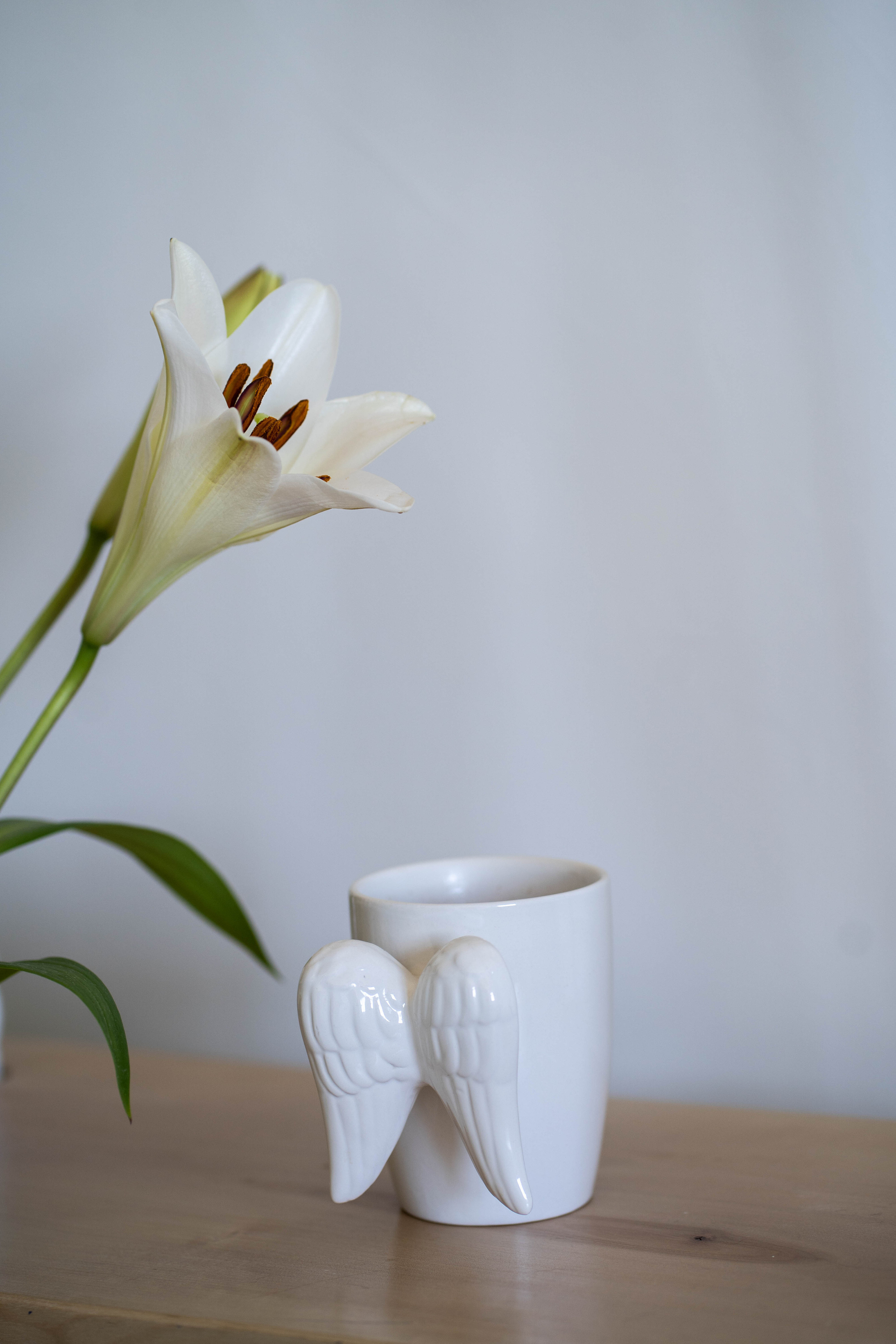 Контент-съемка для Мириам. Семейный и детский фотограф в Израиле и Москве Дорошок Надя