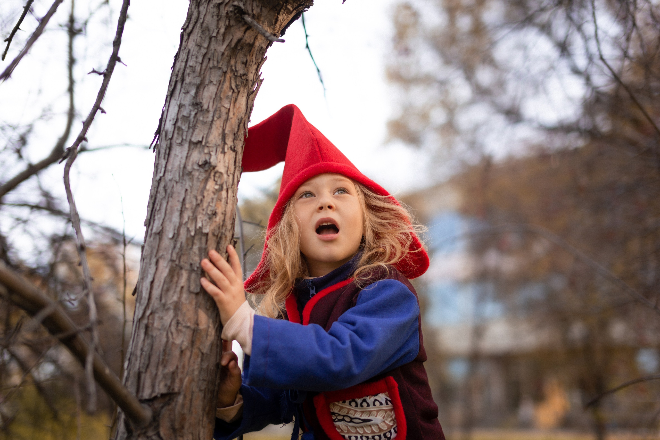 Лесные гномы