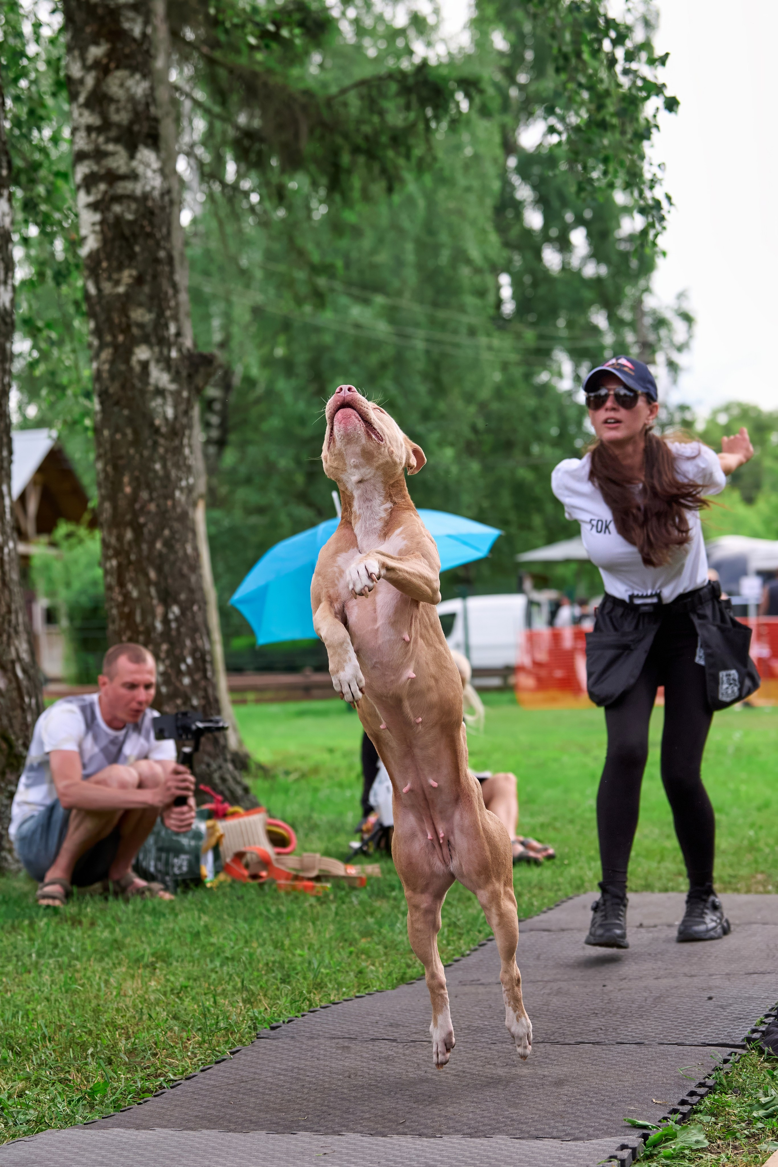 Двухдневные соревнования «Jump'n'Gym Fest — 2024». Фотограф-анималист Михаил Манухин