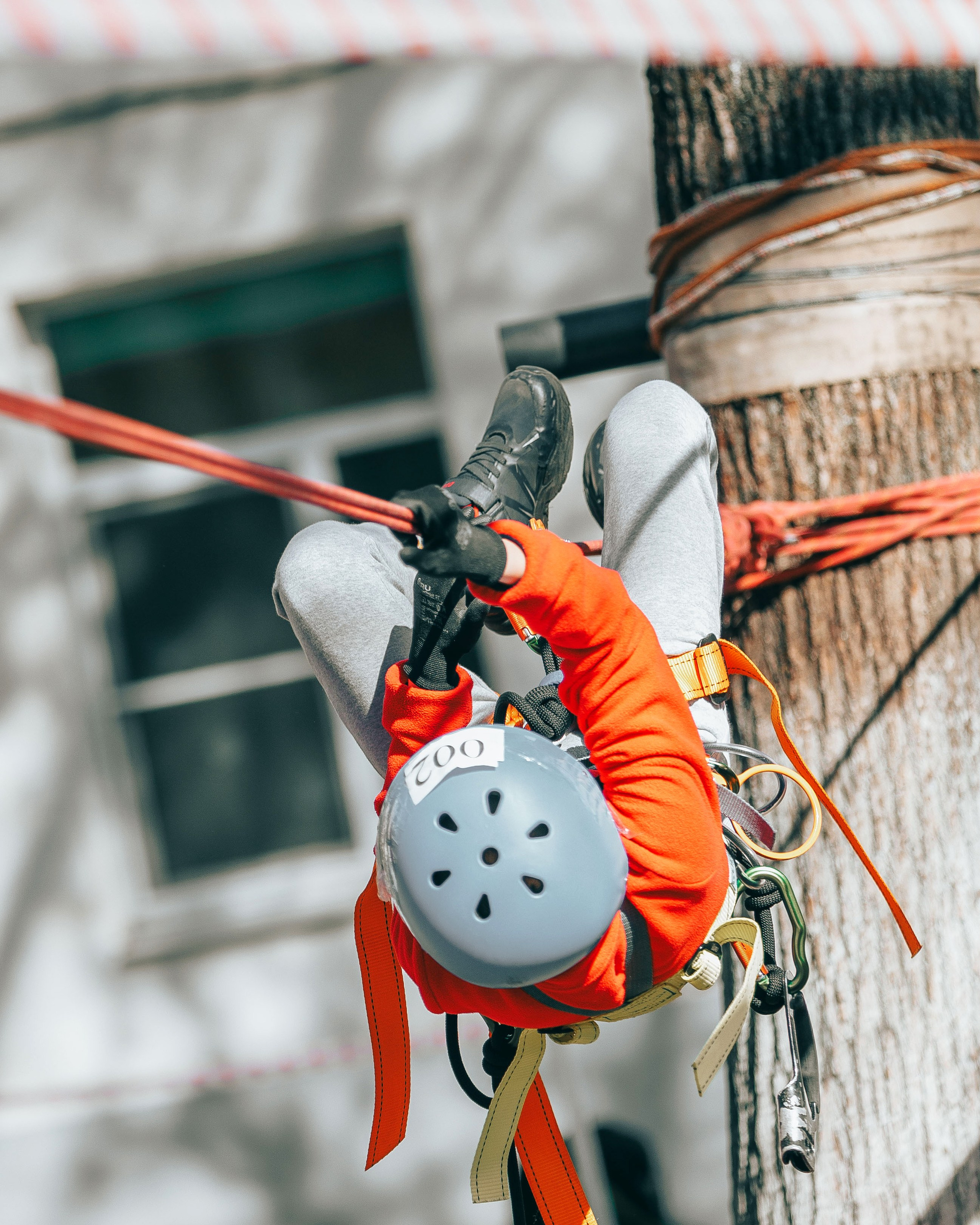 Первенство по спортивному туризму на пешеходных дистанциях. Выпускные альбомы и школьный фотограф в Подольске, Троицке, Щербинке, Москве и Московской области