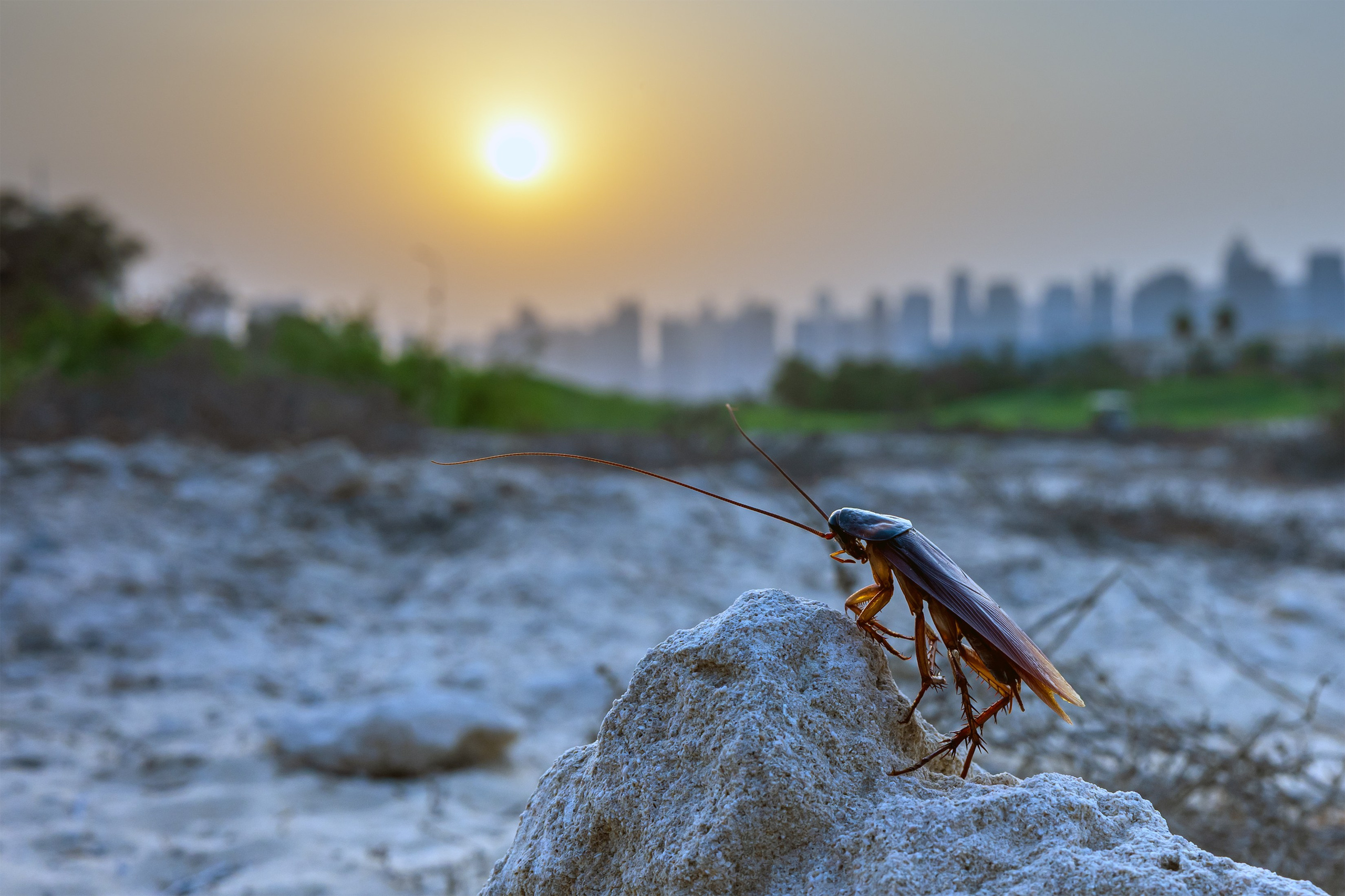 Фотограф в Москве Демьян Лопатов