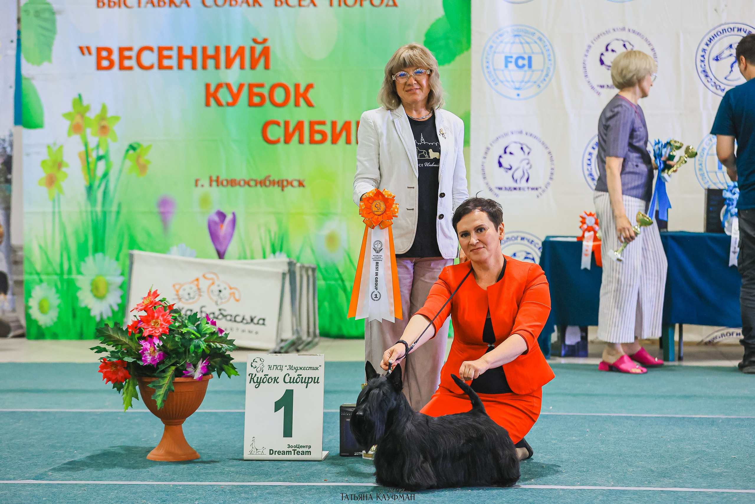 13.07.25 2х выставки собак. Новосибирск. «Кубок Сибири»