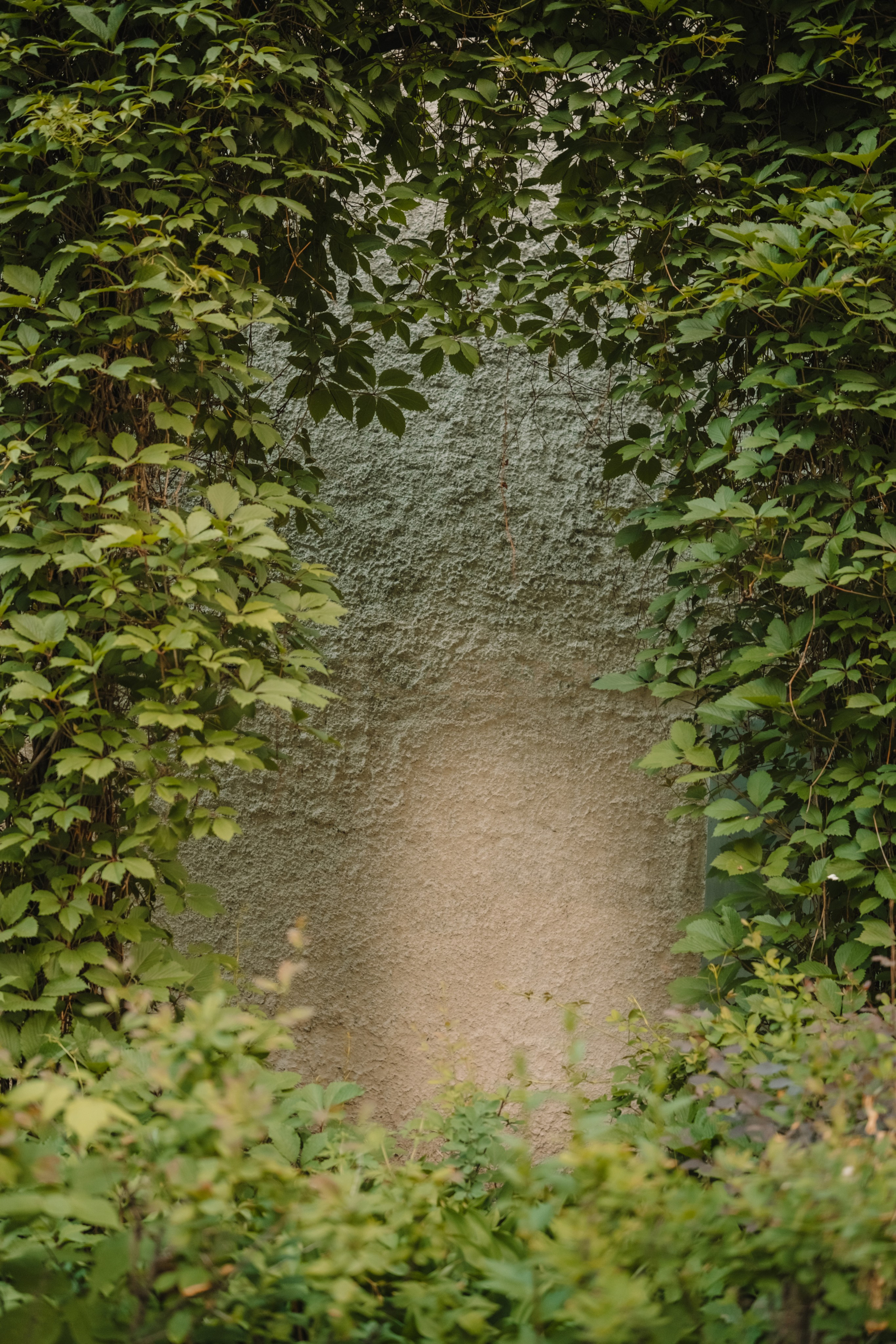 Люди. Фотограф Олеся Кавлакан