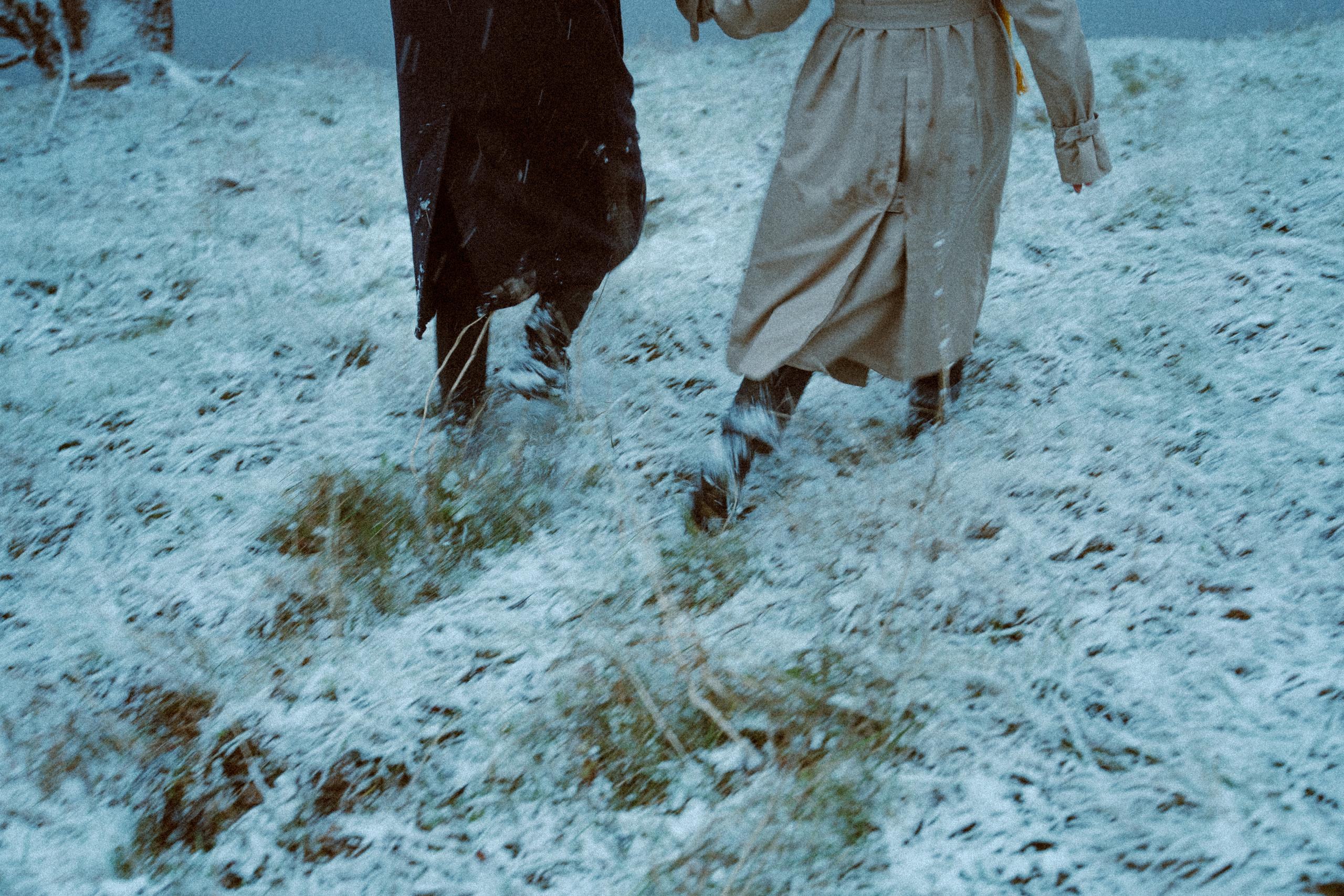 Подснежники. Алиса Аницкая