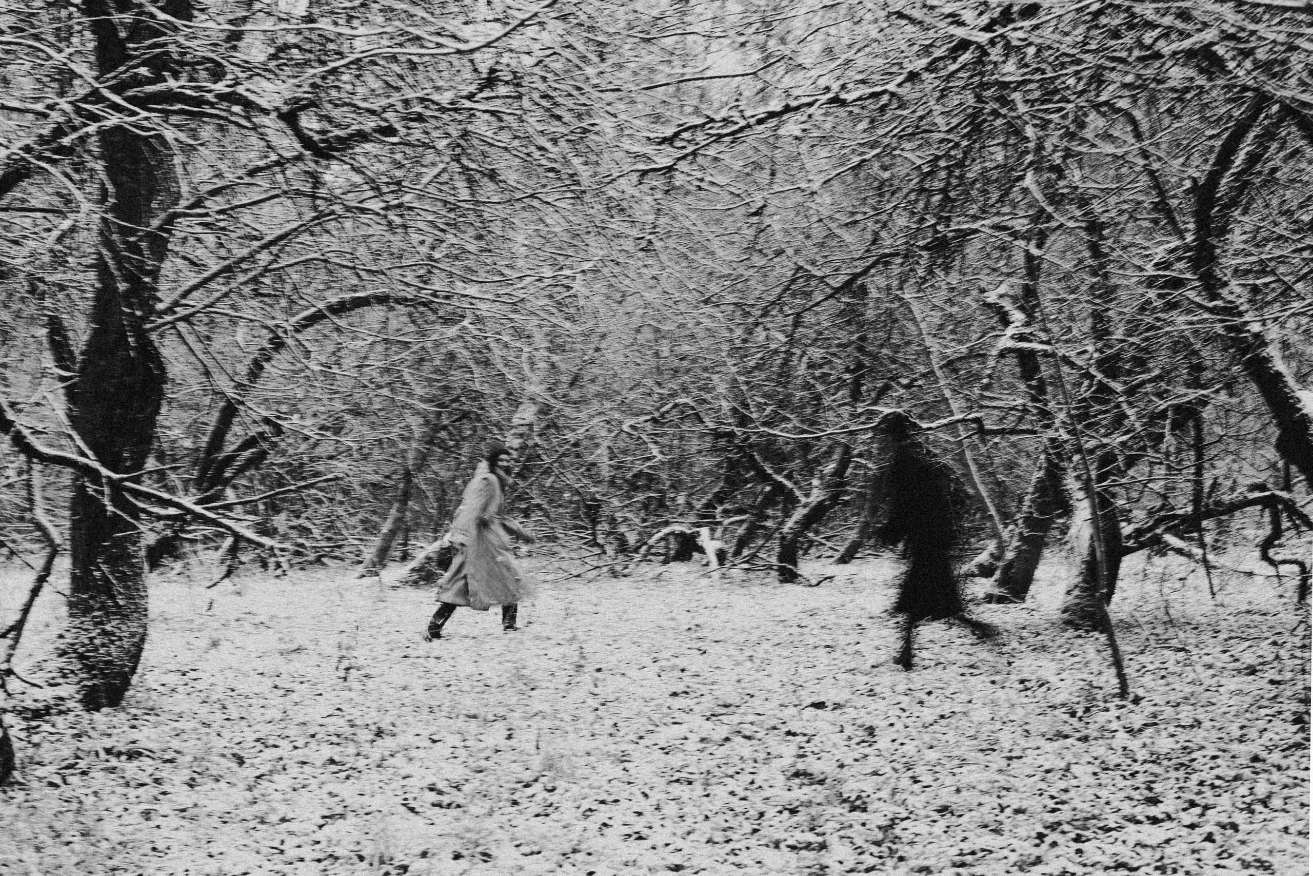 Подснежники. Алиса Аницкая